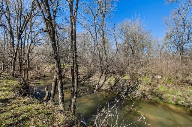 a view of lake from a tree