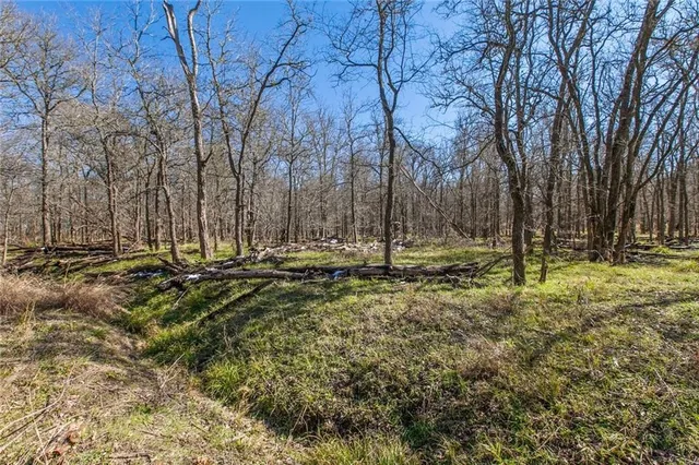 a view of a yard with a tree