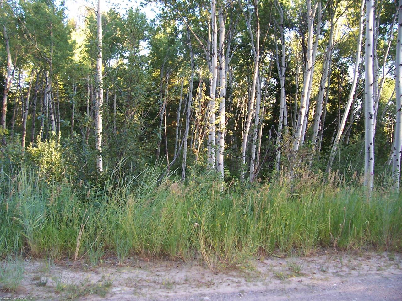 Svr Plat 9th Star Valley Ranch, WY 83127 - Photo 1 of 1 View of property from road.