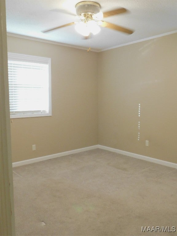 19533 Tervin Ml Road Andalusia, AL 36421 - Photo 16 of 32 Gallery Image 16