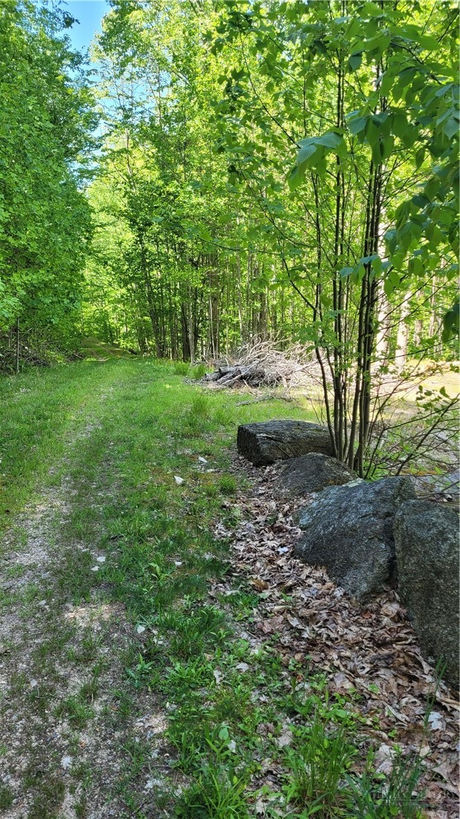 Buckeye Ridge Road Beech Mountain, NC 28604 - Photo 10 of 14