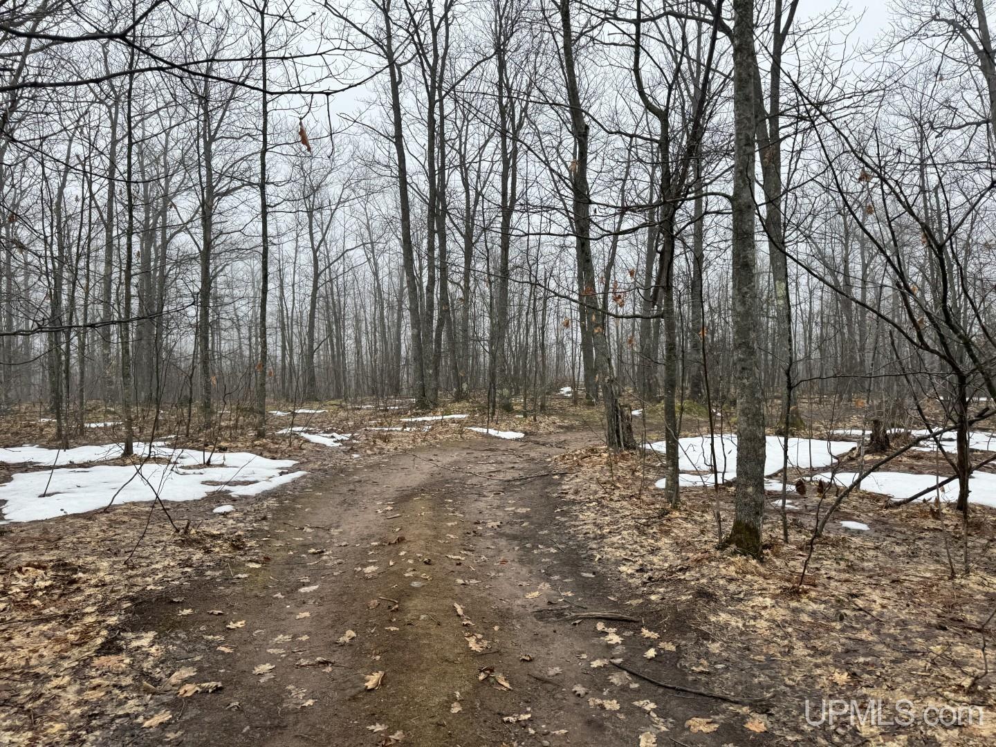 280-acres Off Pikes Peak Road Lanse, MI 49946 - Photo 5 of 21