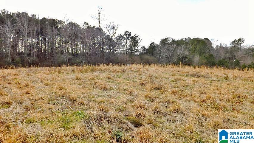 0 Highway 231, Unit 1 5 Oneonta, AL 35121 - Photo 14 of 23