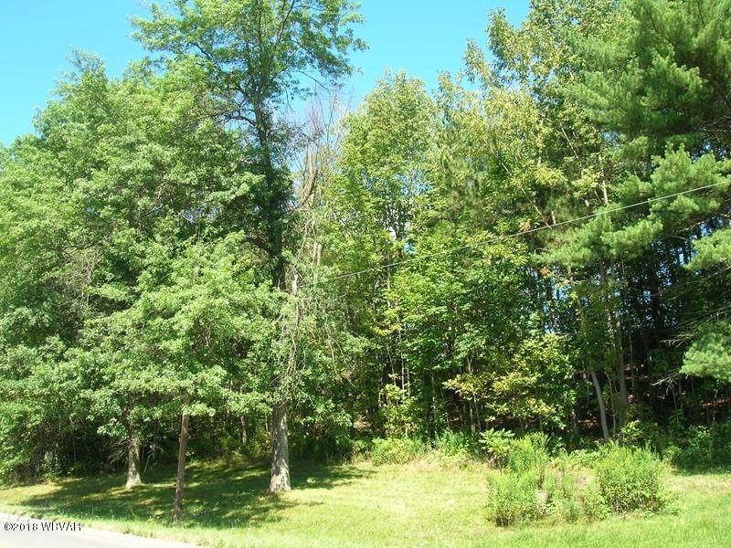 Lot 7 660th Route Wellsboro, PA 16901 - Photo 3 of 7 125795-02
