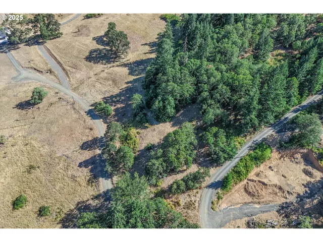 a view of a yard with a tree