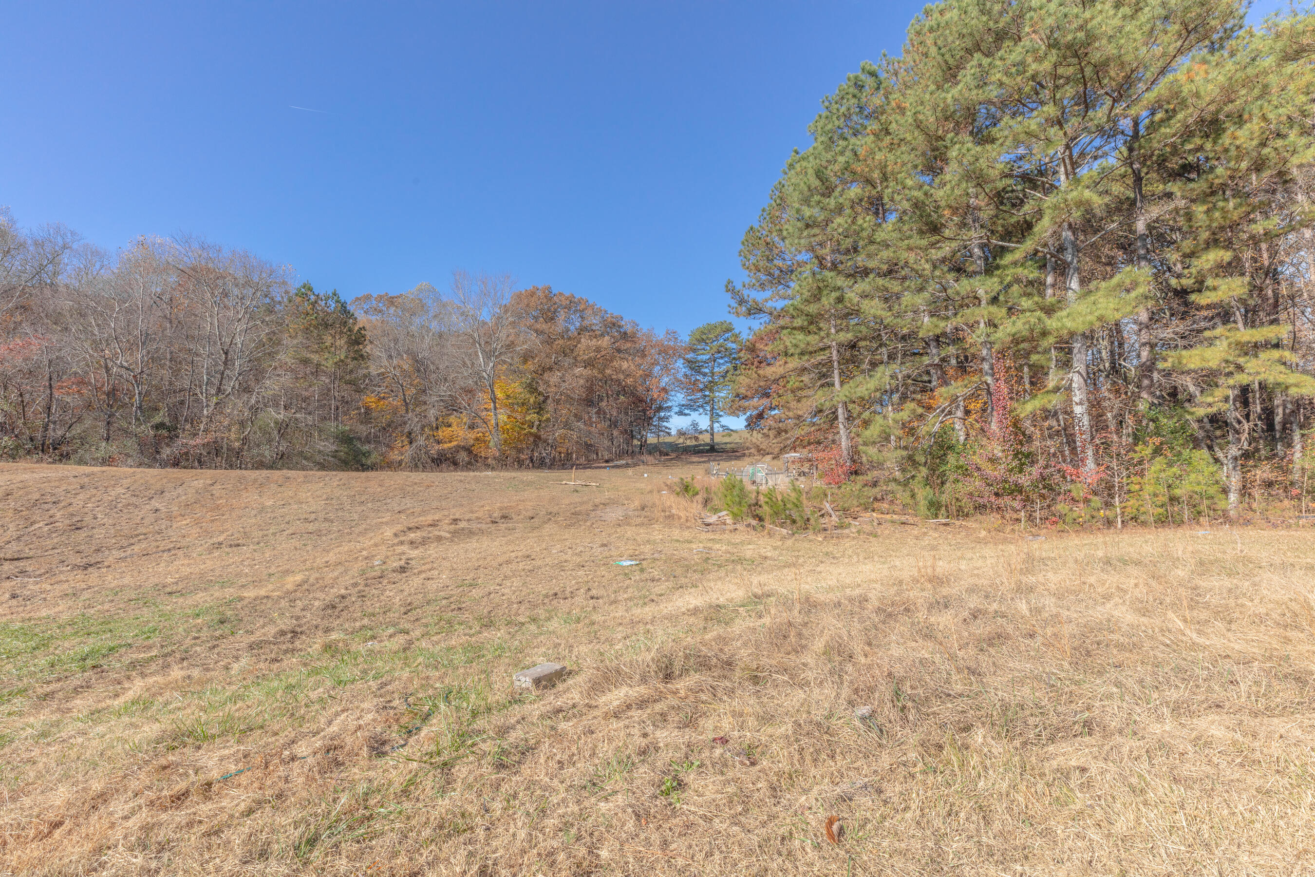 1144 Ridgeway Road LaFayette, GA 30728 - Photo 82 of 87 1144 Ridgeway HD-32