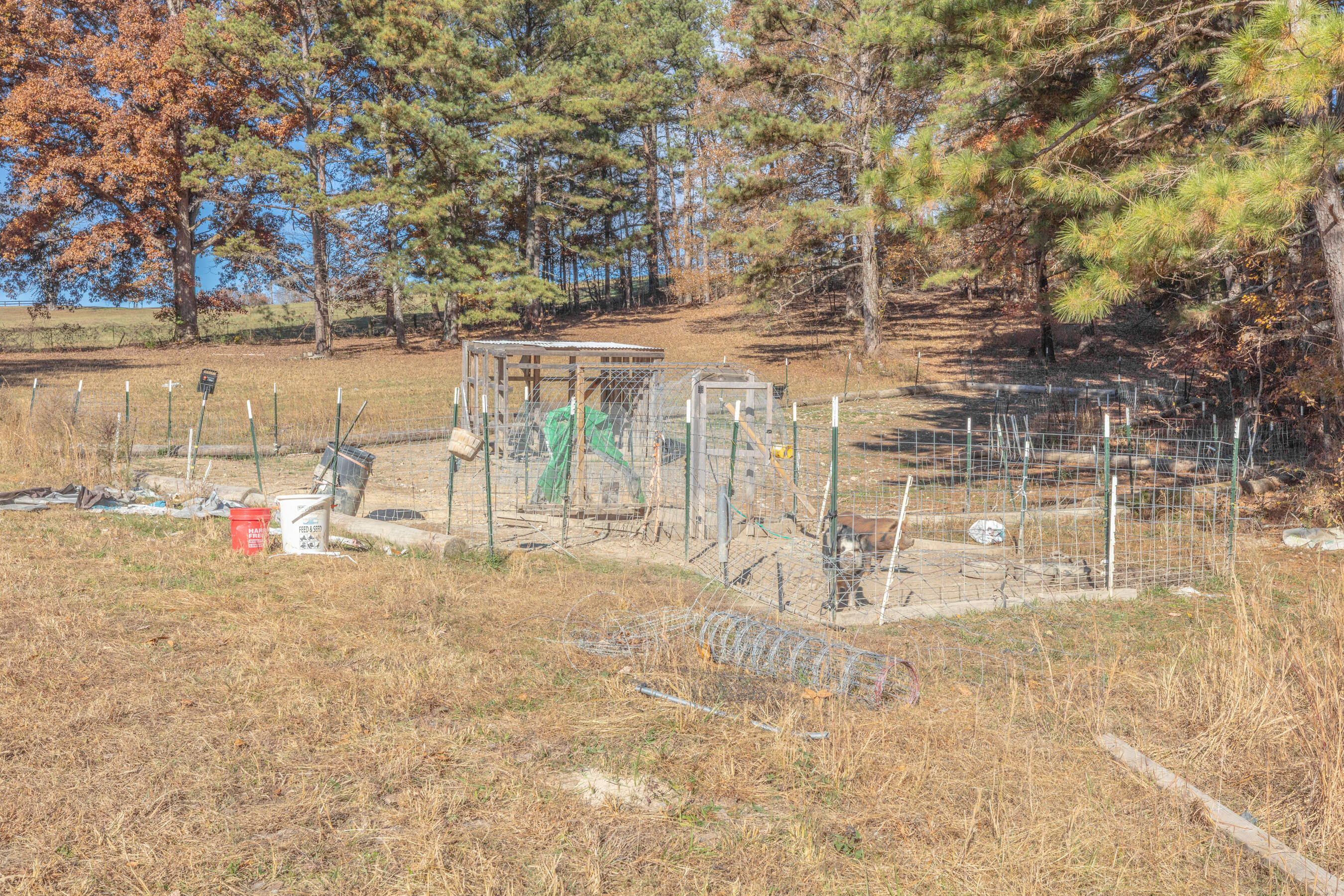 1144 Ridgeway Road LaFayette, GA 30728 - Photo 83 of 87 1144 Ridgeway HD-33