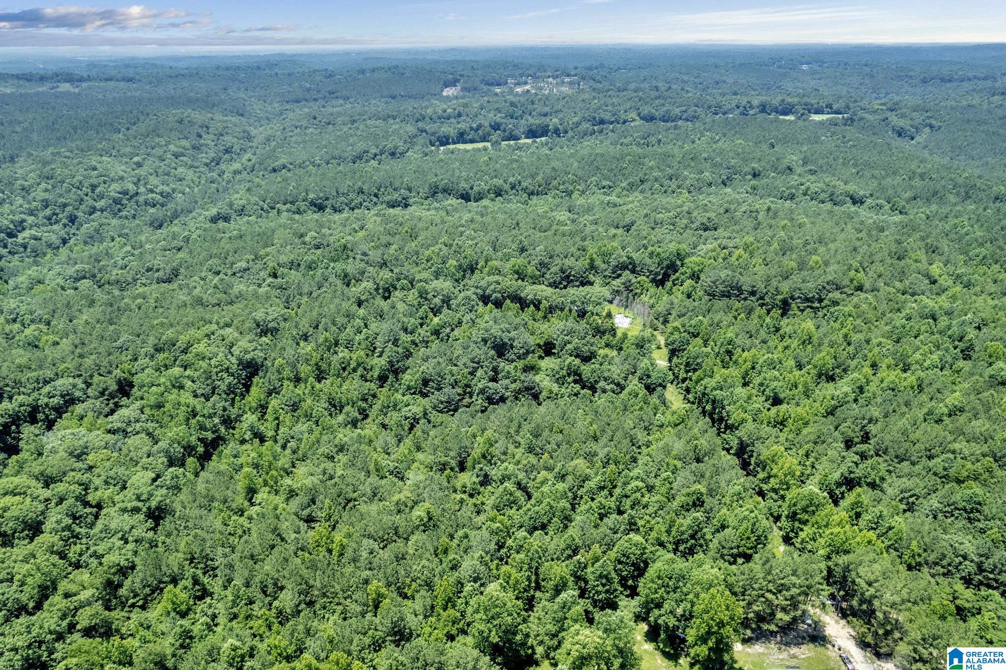 572 Dunn Hill Road Parrish, AL 35580 - Photo 11 of 25