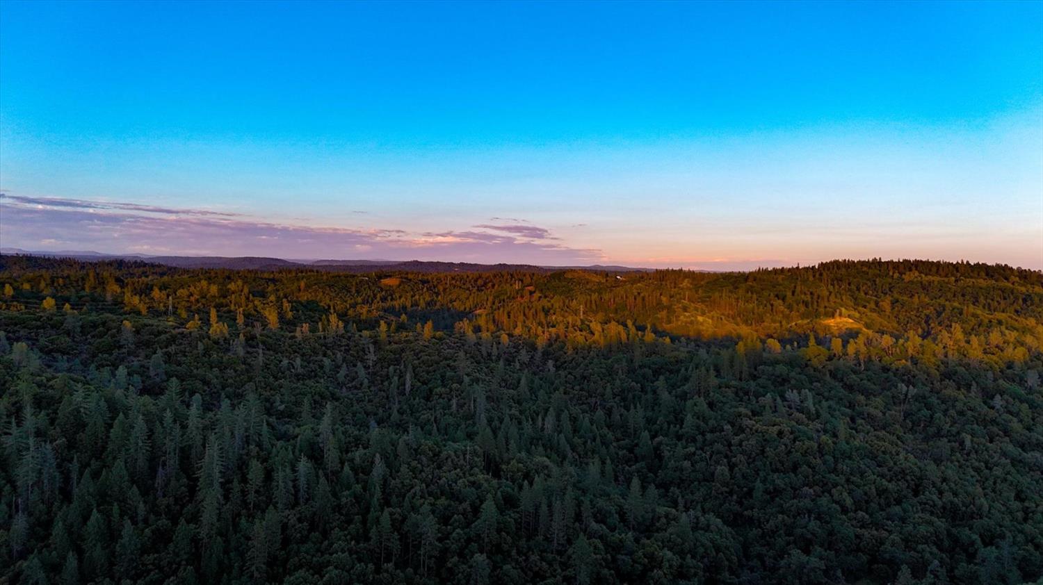 20111 Tanglewood Road Grass Valley, CA 95945 - Photo 75 of 93