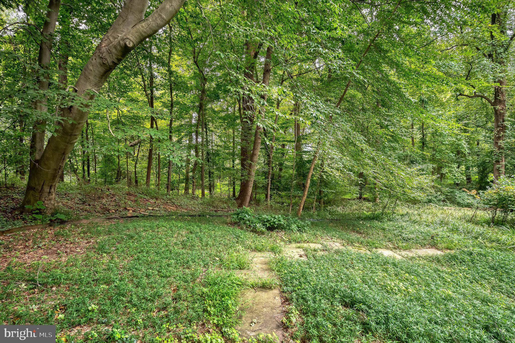 6010 Fork Woods Road Baldwin, MD 21013 - Photo 56 of 65 Ground cover