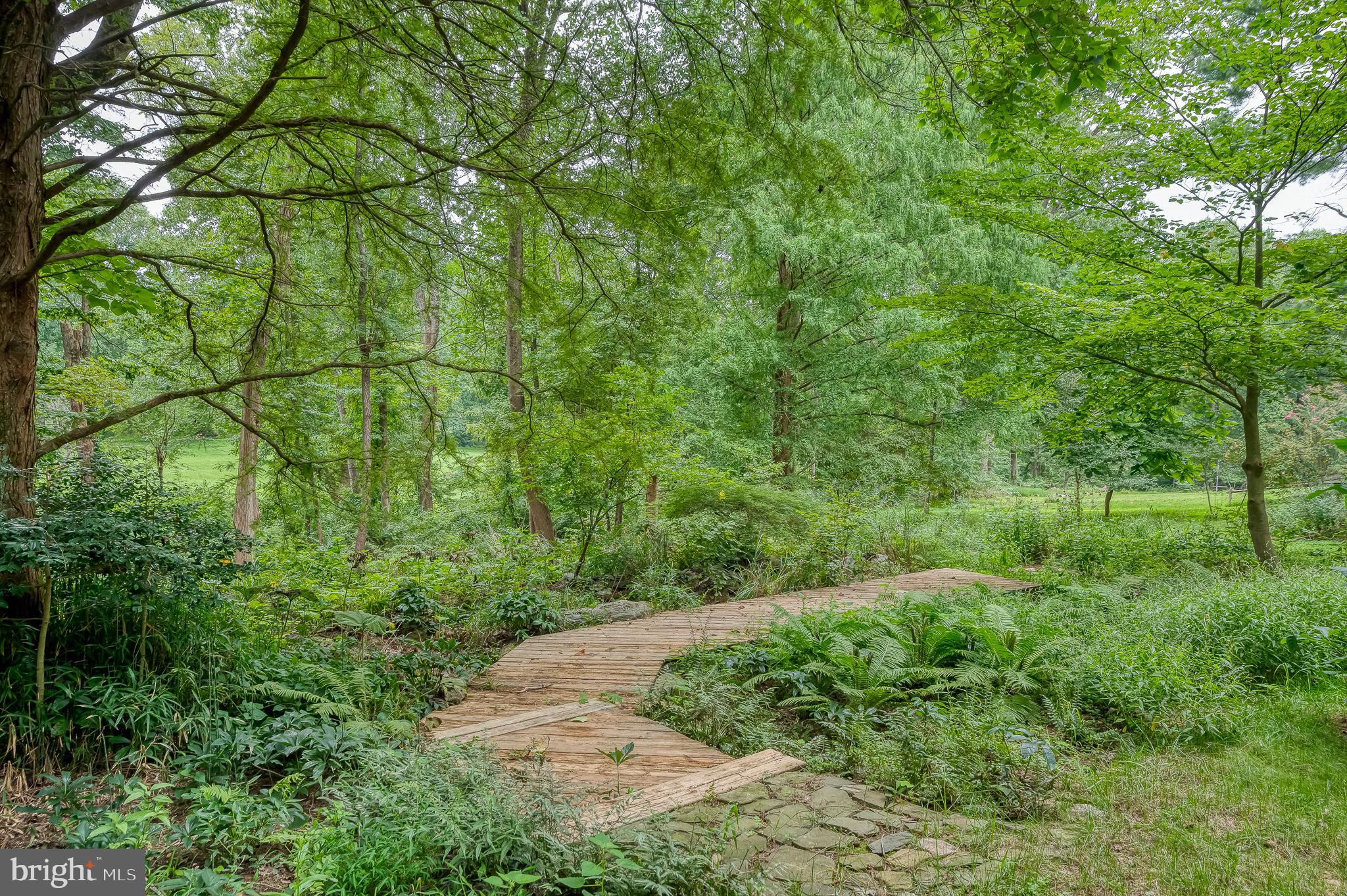 6010 Fork Woods Road Baldwin, MD 21013 - Photo 58 of 65 Walking path