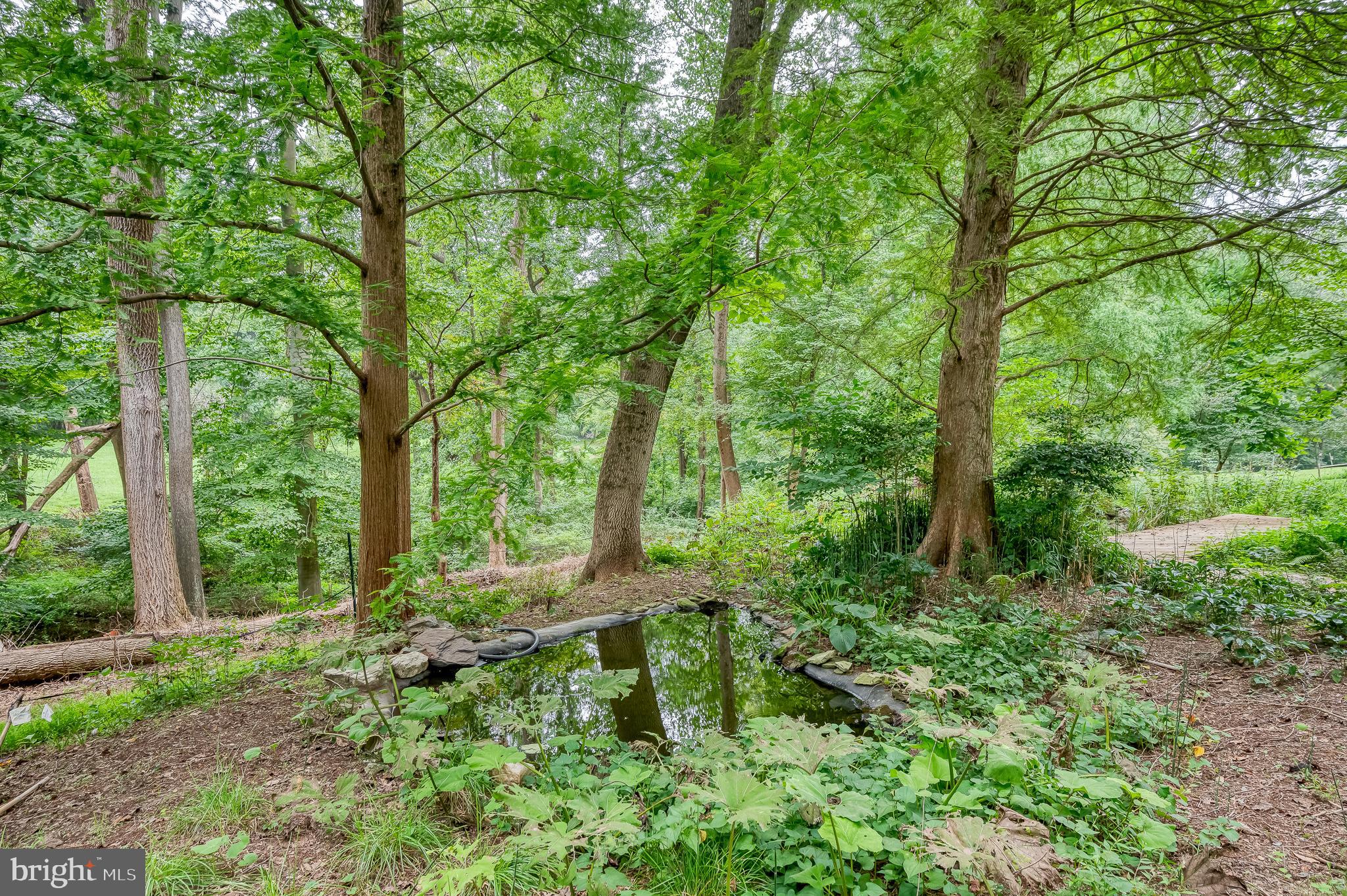 6010 Fork Woods Road Baldwin, MD 21013 - Photo 59 of 65 Larger pond in yard