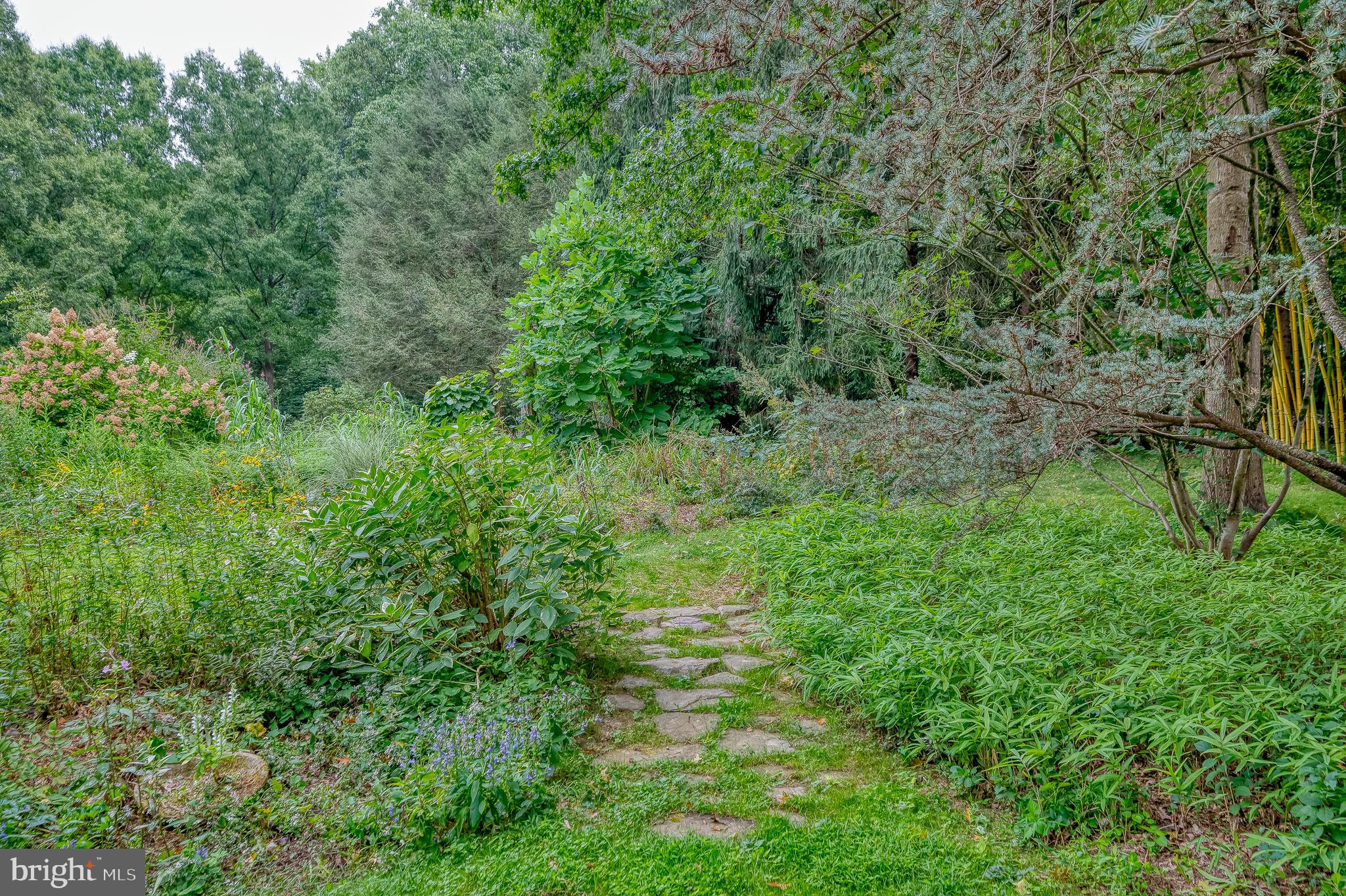 6010 Fork Woods Road Baldwin, MD 21013 - Photo 62 of 65 Walking paths on property