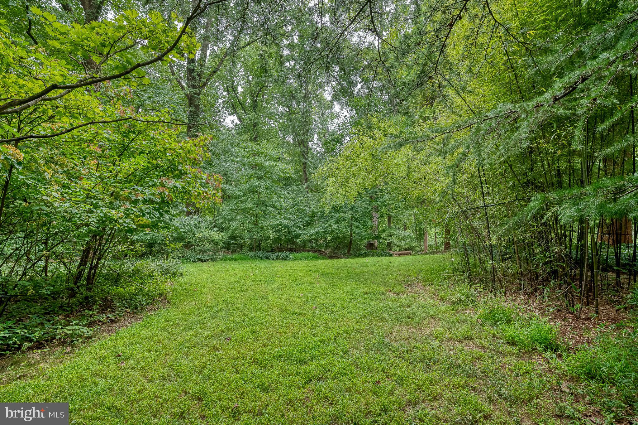 6010 Fork Woods Road Baldwin, MD 21013 - Photo 63 of 65 Private Oasis