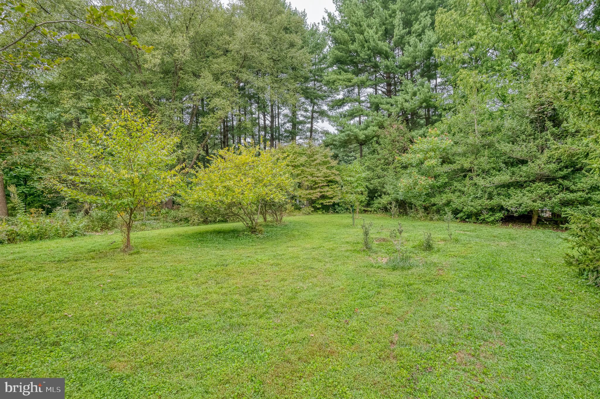 6010 Fork Woods Road Baldwin, MD 21013 - Photo 64 of 65 2.15 acres of gardens and grounds to explore