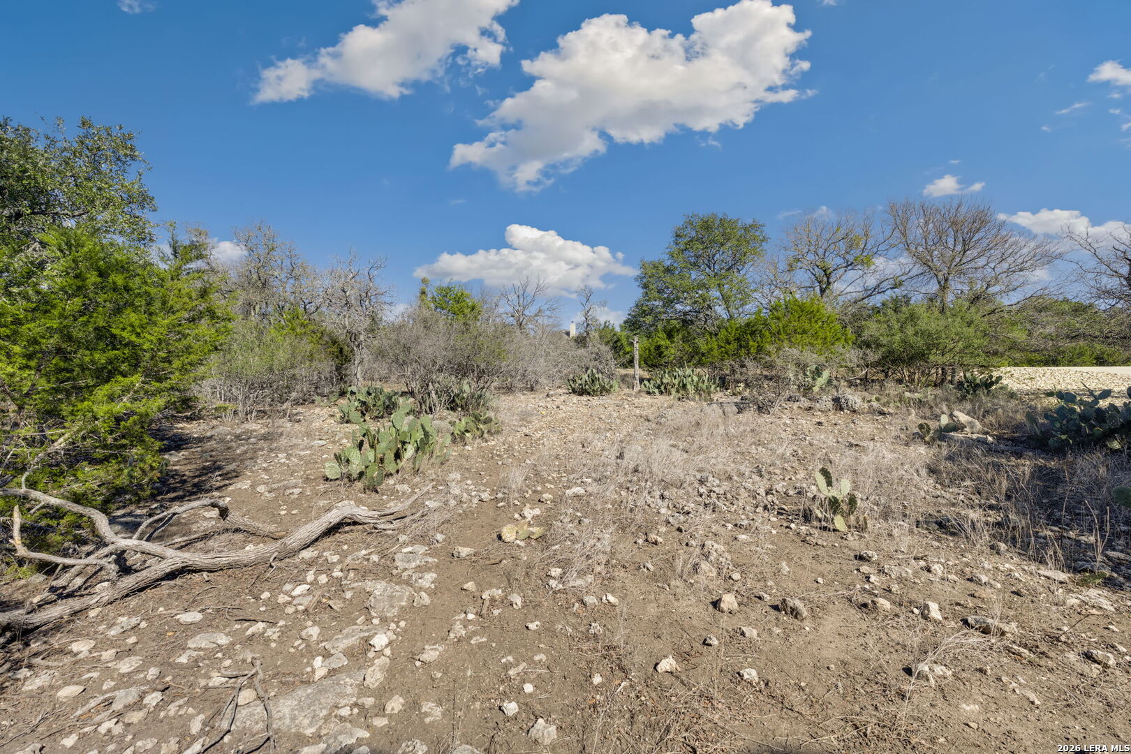 335 Rittimann Road Spring Branch, TX 78070 - Photo 11 of 31 a view of a pathway in a yard