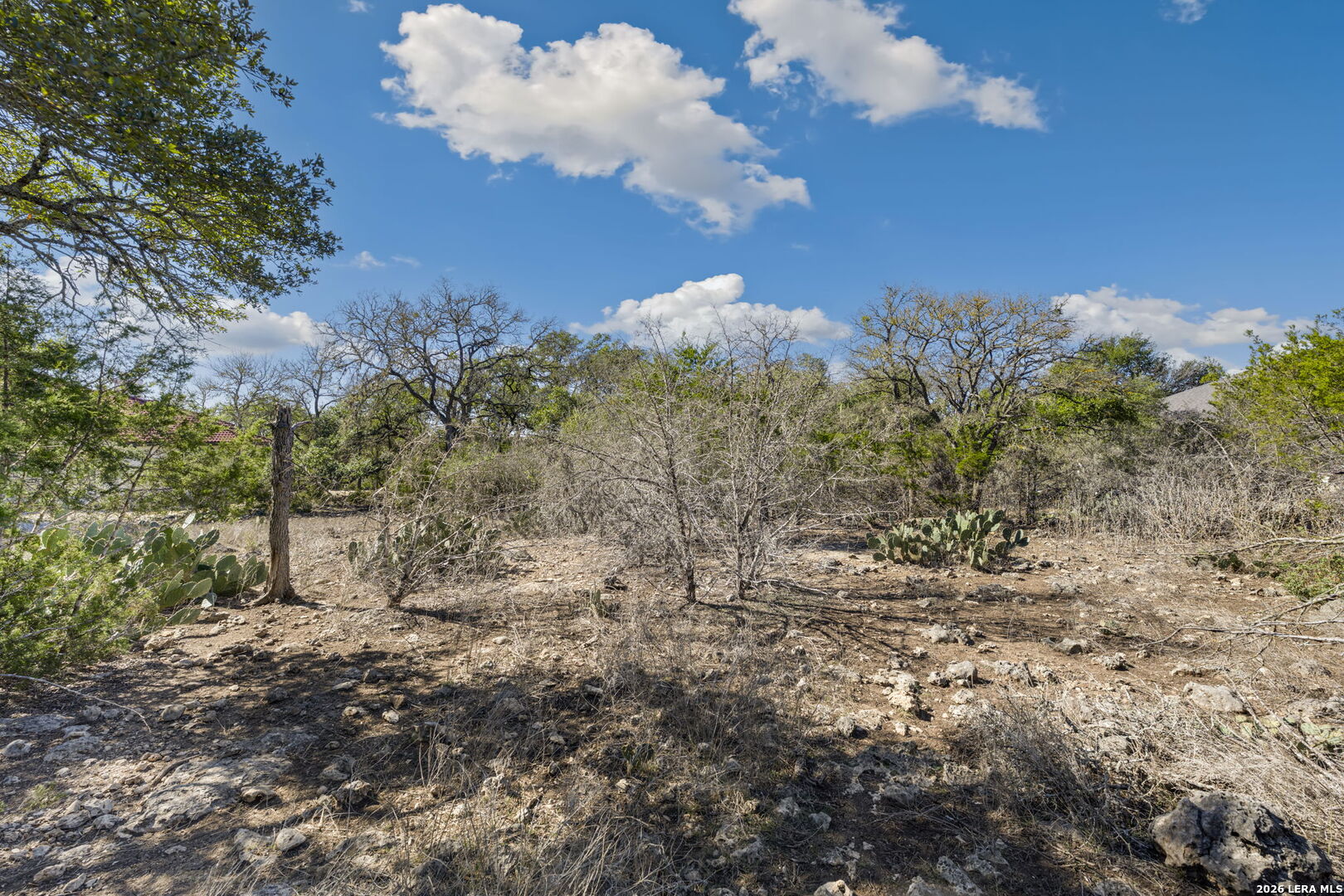 335 Rittimann Road Spring Branch, TX 78070 - Photo 12 of 31 a view of a field with lots of trees