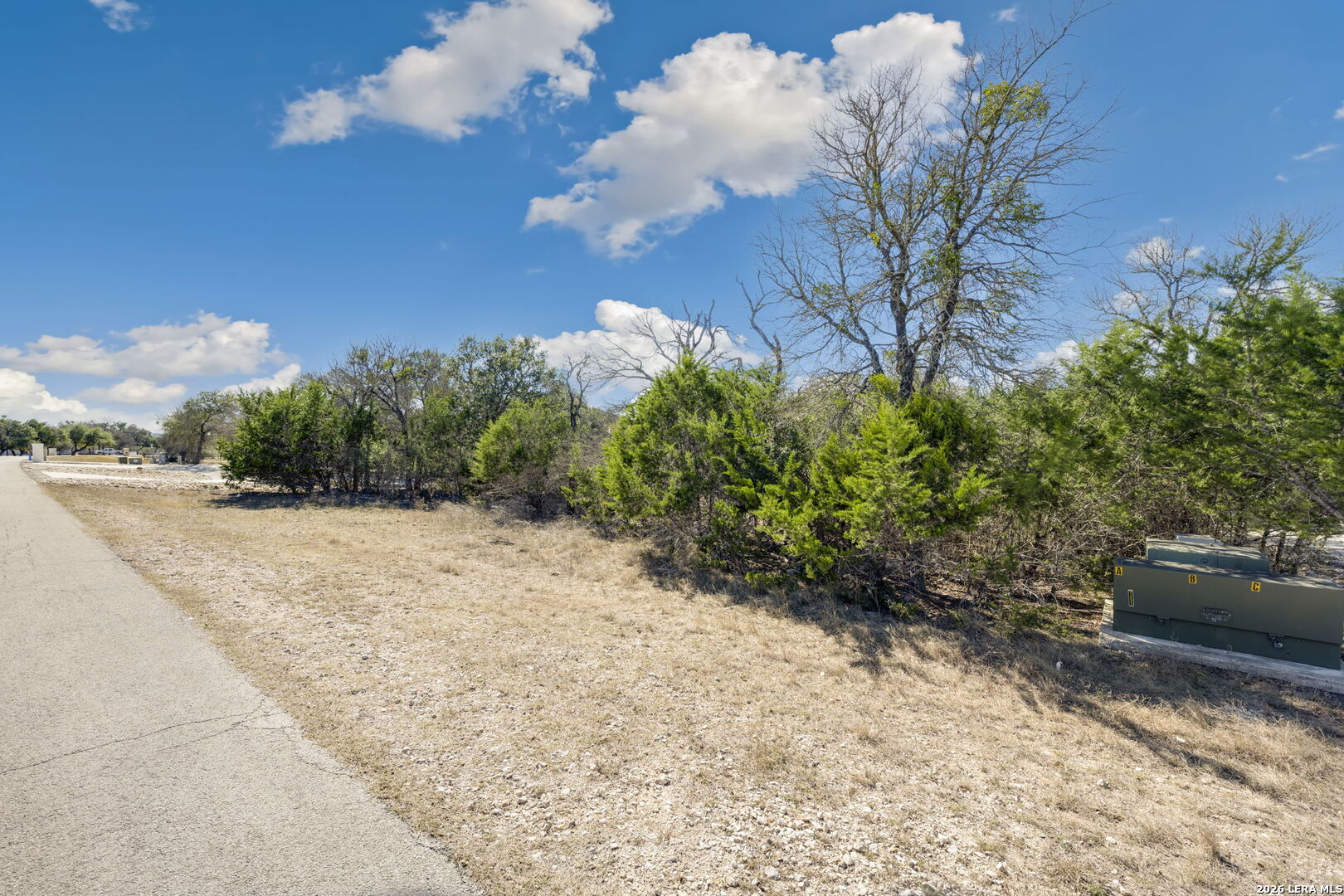 335 Rittimann Road Spring Branch, TX 78070 - Photo 20 of 31 a view of a yard with plants and large trees