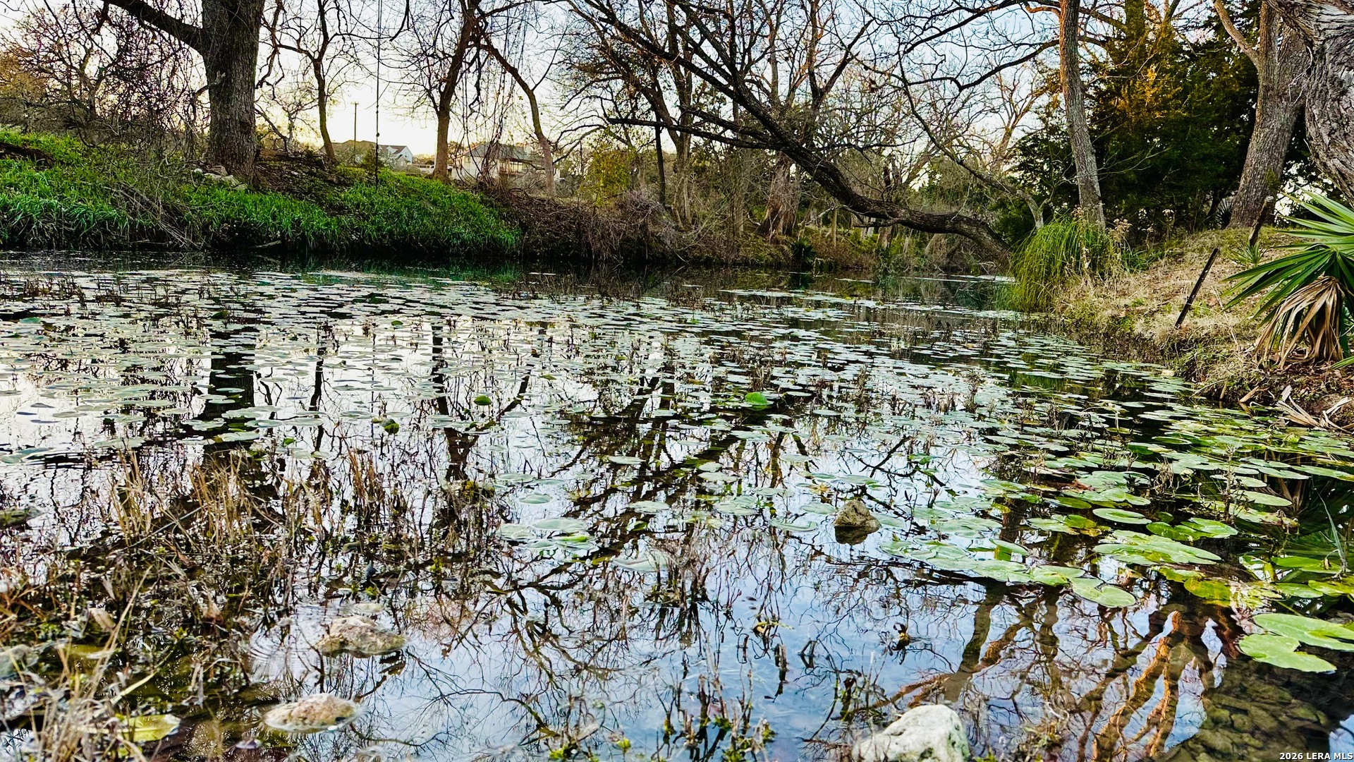 335 Rittimann Road Spring Branch, TX 78070 - Photo 2 of 31 a backyard of a house with lots of green space