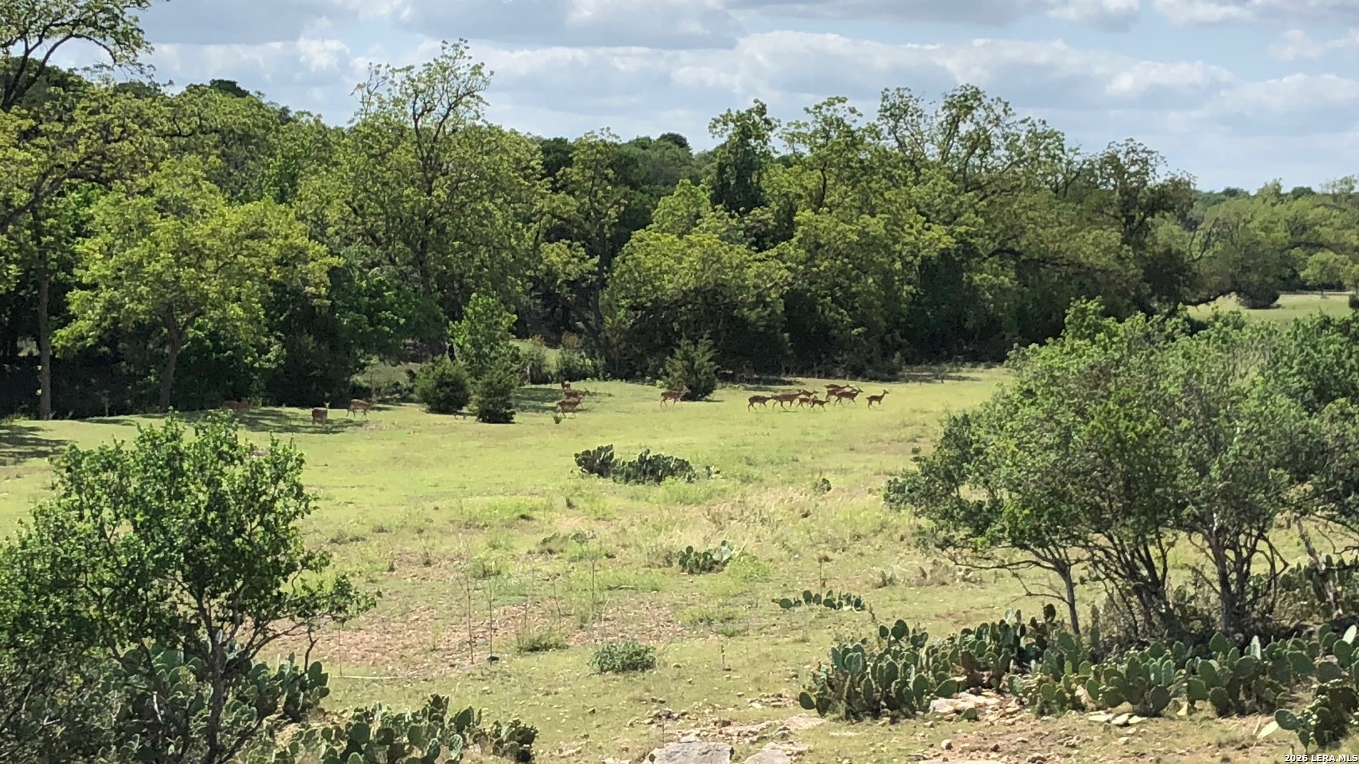 335 Rittimann Road Spring Branch, TX 78070 - Photo 23 of 31 a view of a yard covered in snow