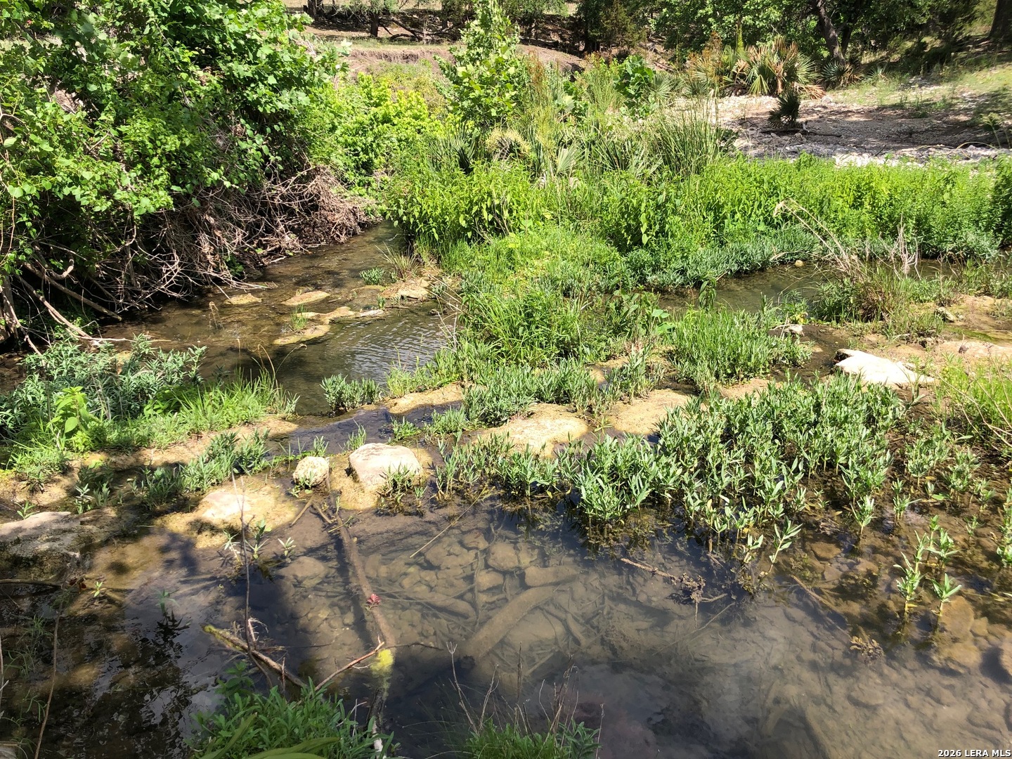 335 Rittimann Road Spring Branch, TX 78070 - Photo 25 of 31 a view of a yard with plants