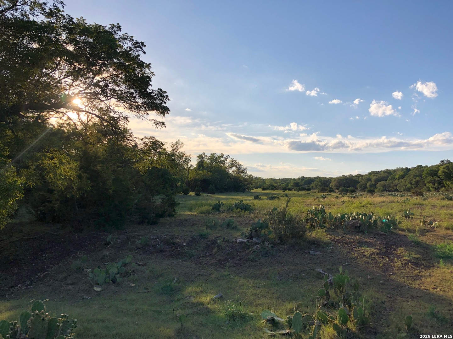 335 Rittimann Road Spring Branch, TX 78070 - Photo 26 of 31 a view of lake with mountain