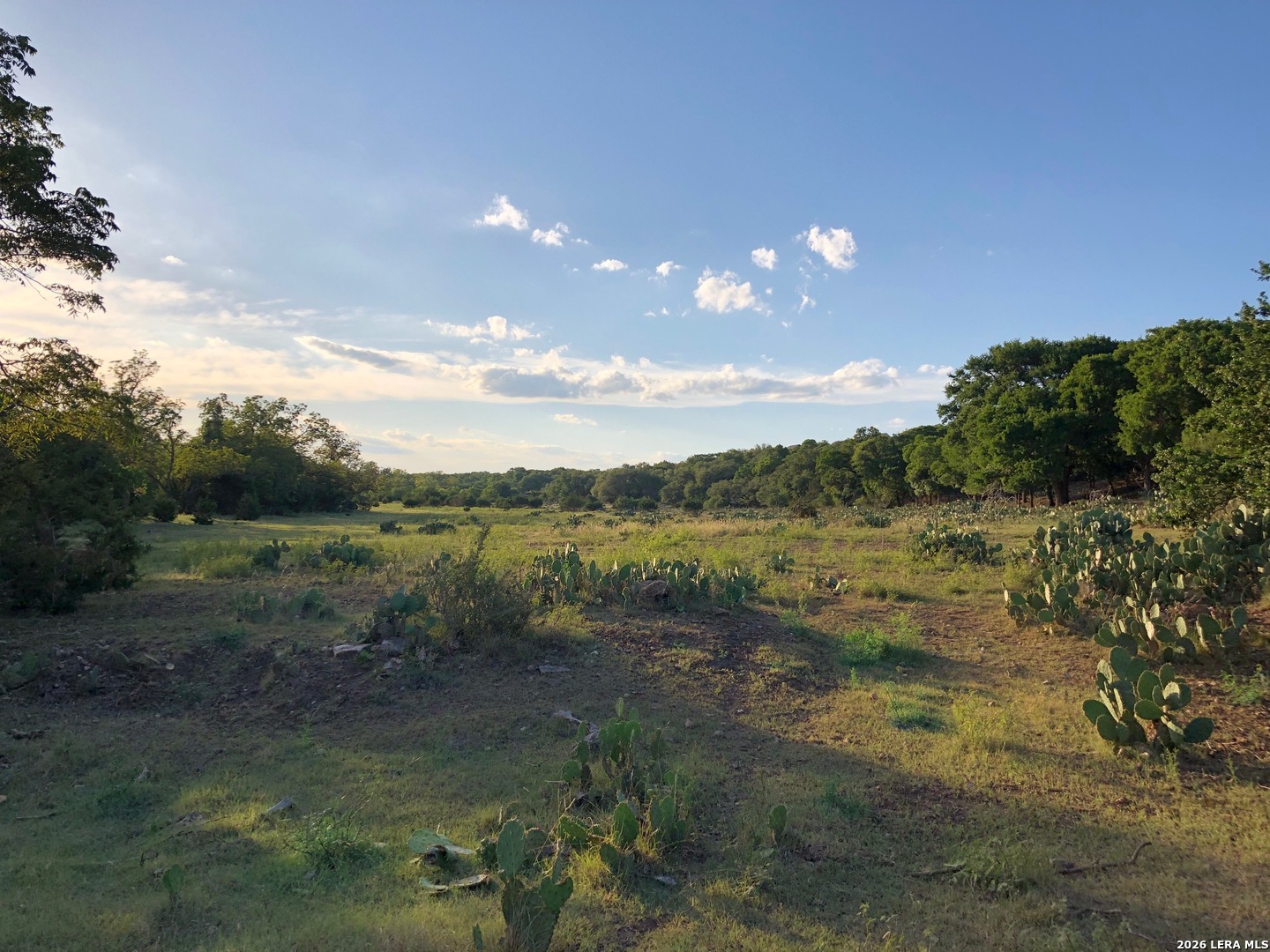 335 Rittimann Road Spring Branch, TX 78070 - Photo 27 of 31 a view of lake with green space