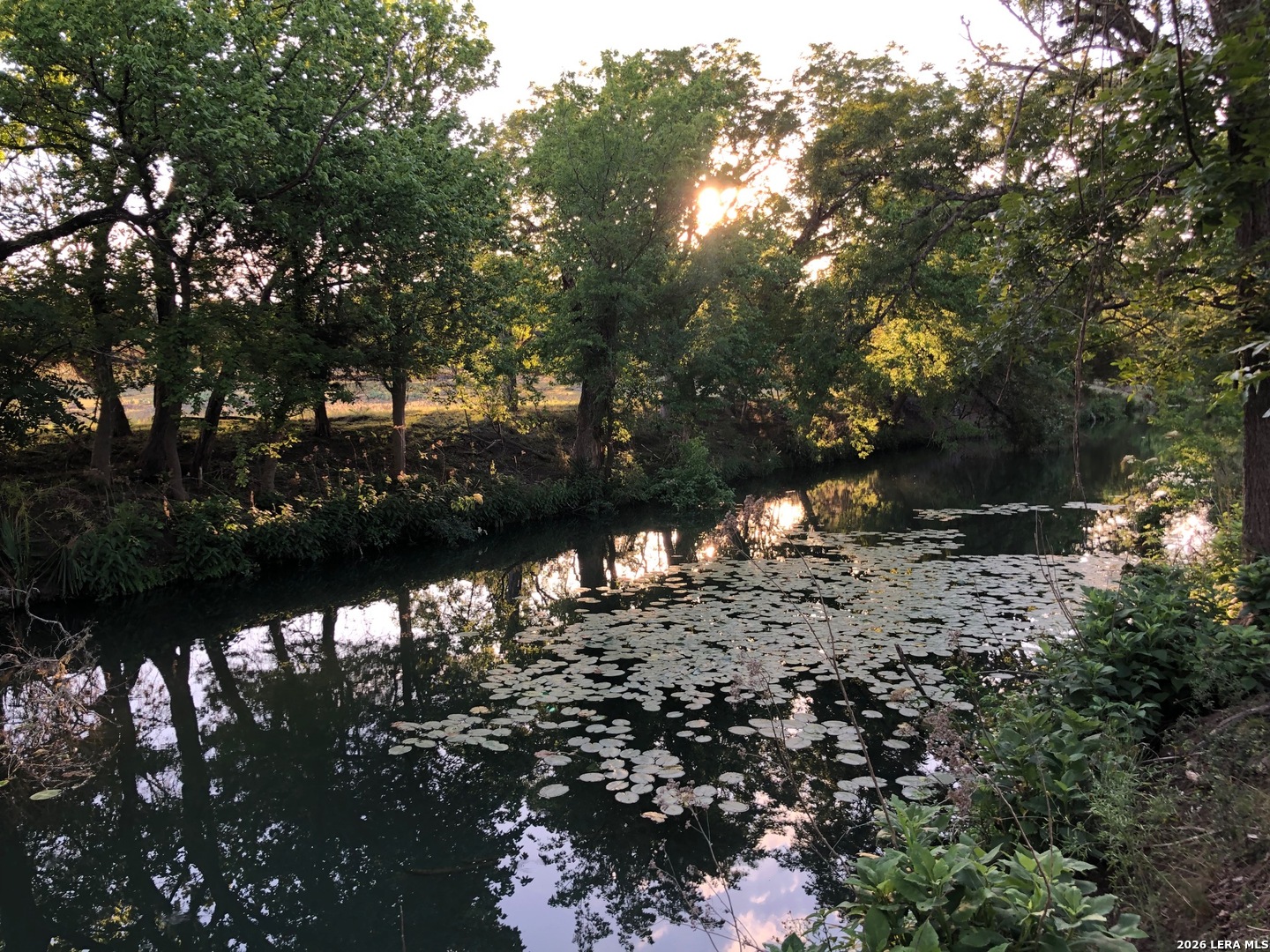 335 Rittimann Road Spring Branch, TX 78070 - Photo 28 of 31 a view of a yard