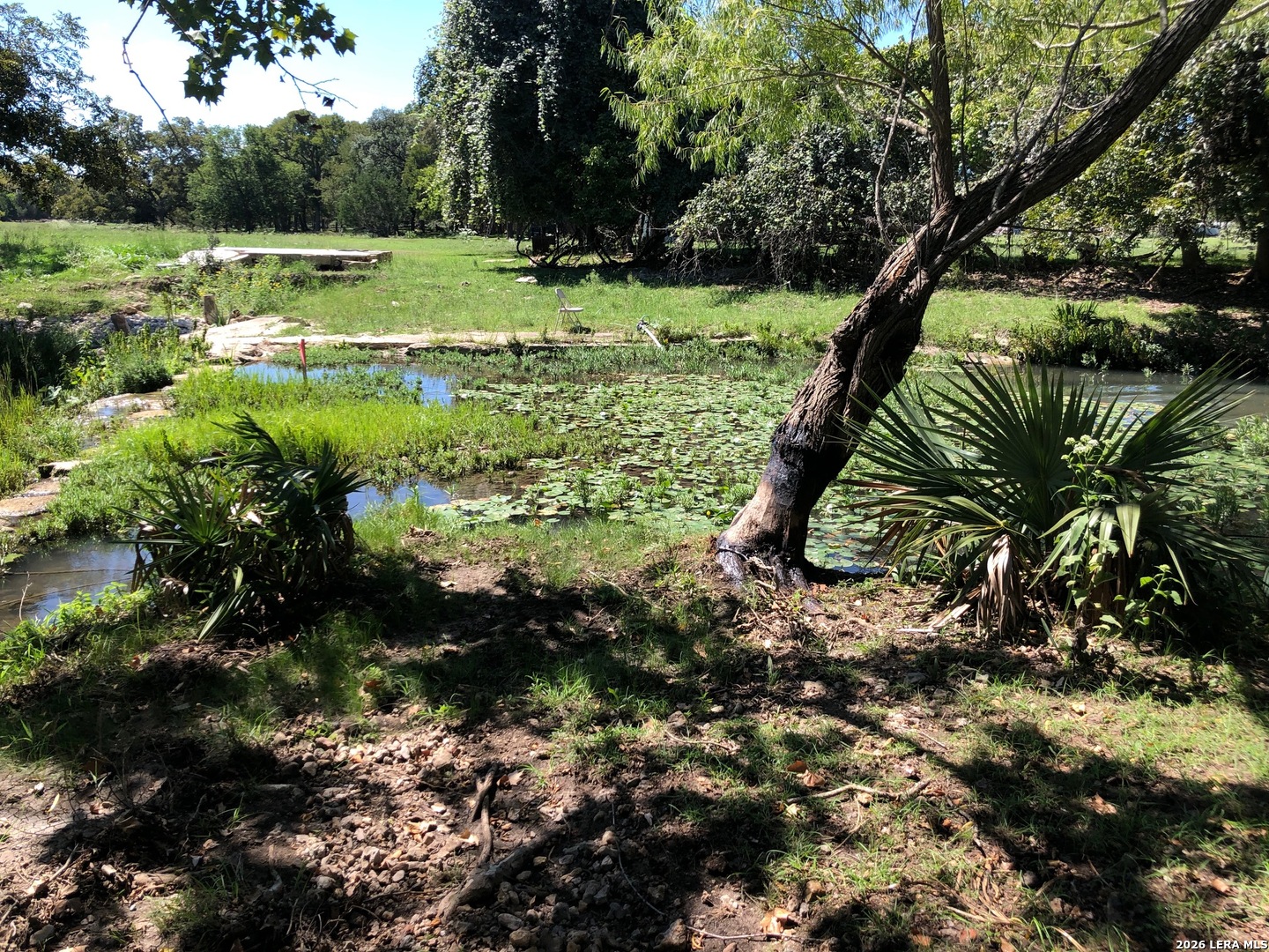 335 Rittimann Road Spring Branch, TX 78070 - Photo 29 of 31 a view of a garden with a lake
