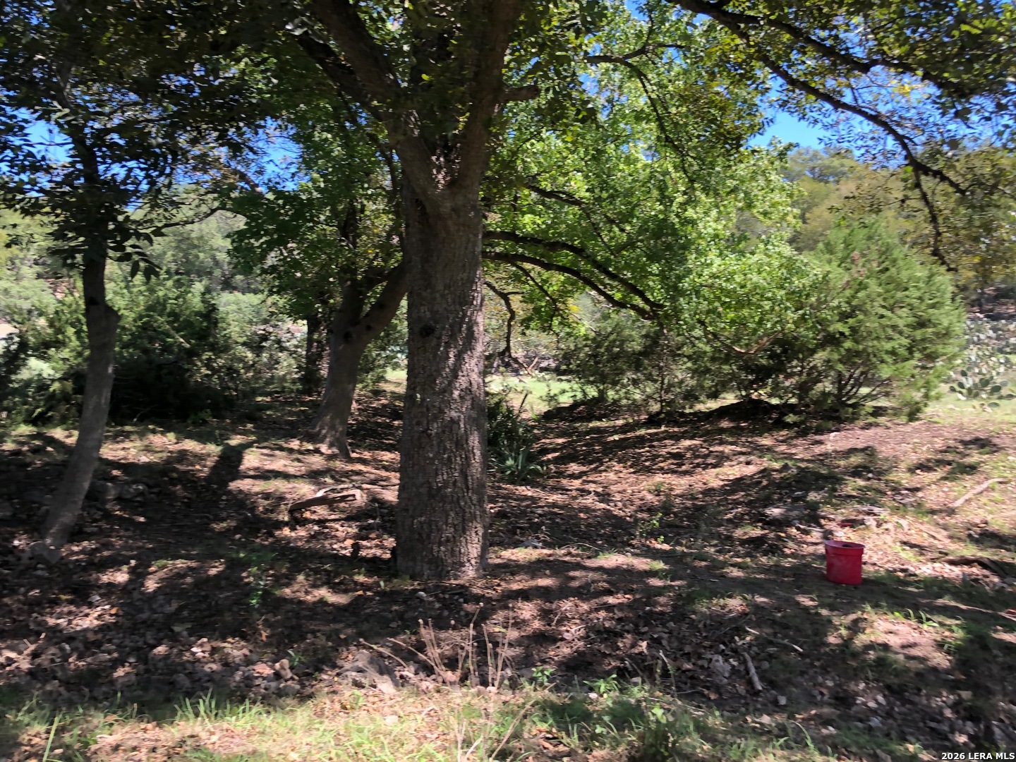 335 Rittimann Road Spring Branch, TX 78070 - Photo 30 of 31 a view of a tree in a yard