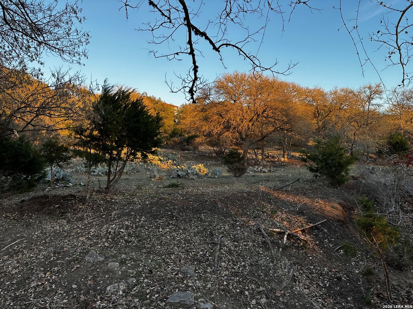 335 Rittimann Road Spring Branch, TX 78070 - Photo 31 of 31 a backyard of a house with lots of green space
