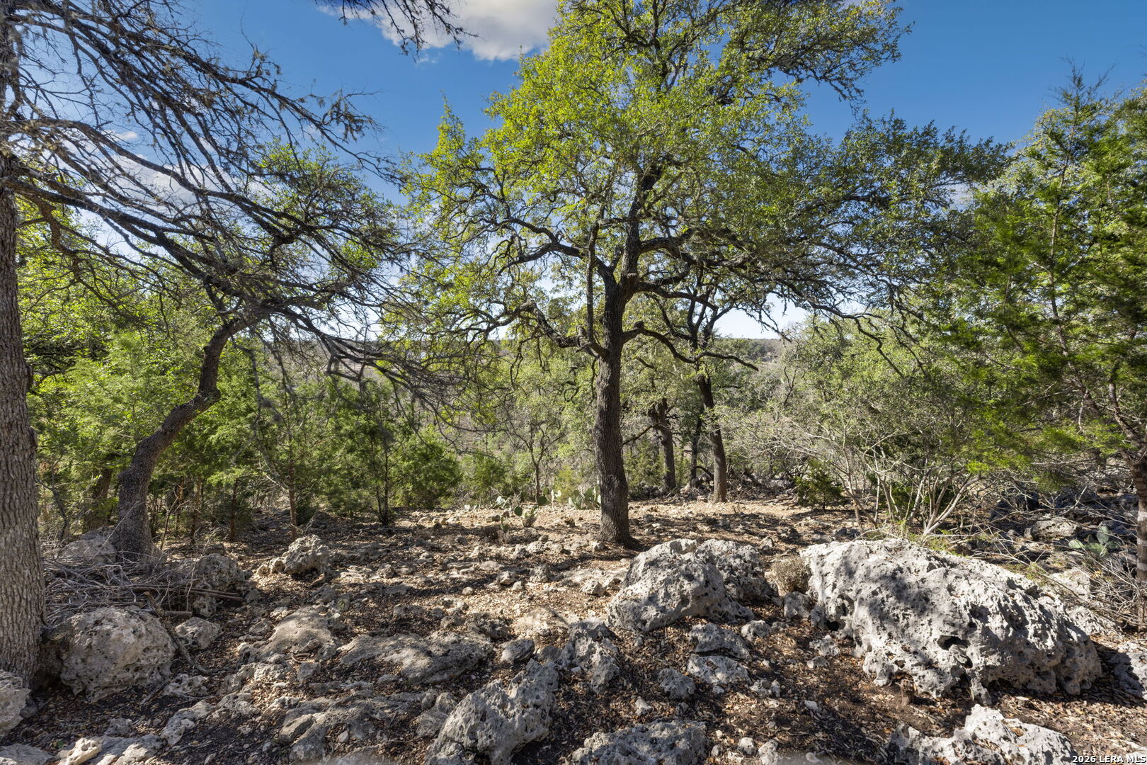 335 Rittimann Road Spring Branch, TX 78070 - Photo 4 of 18