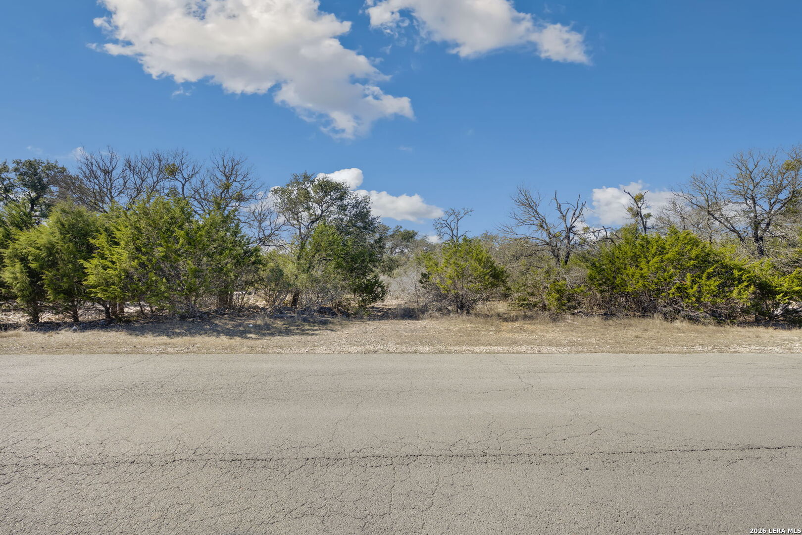 335 Rittimann Road Spring Branch, TX 78070 - Photo 5 of 18