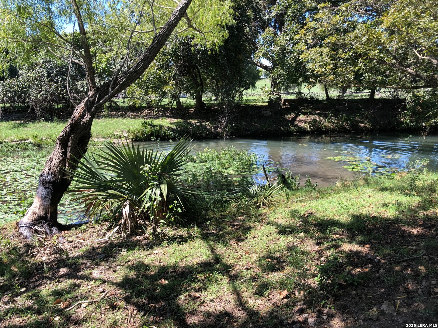 335 Rittimann Road Spring Branch, TX 78070 - Photo 6 of 31 a view of lake with a tree