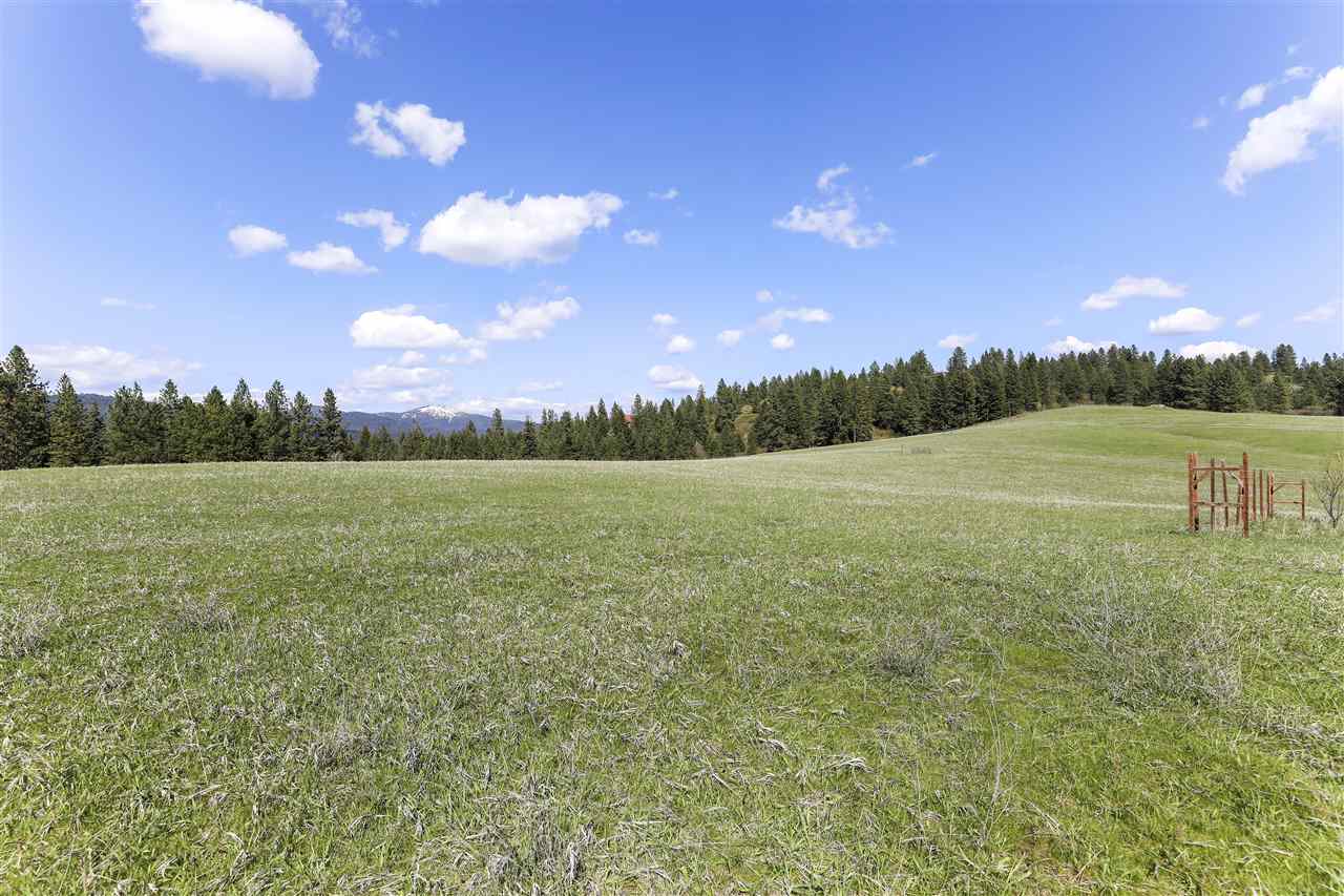 15813 East Bill Gulch Road Mead, WA 99021 - Photo 17 of 20