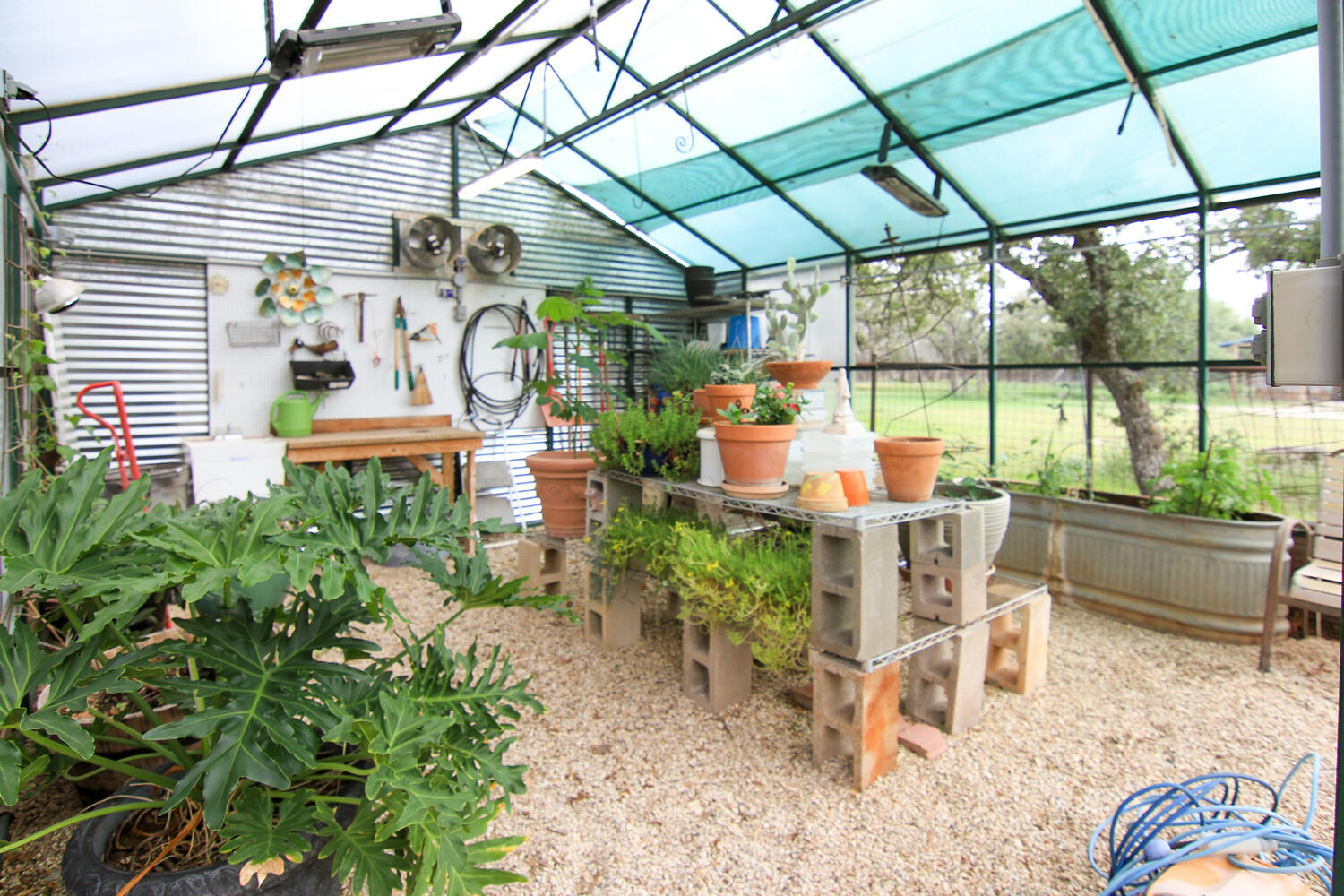 219 Young Ranch Road Georgetown, TX 78633 - Photo 14 of 40 Inside view of large greenhouse