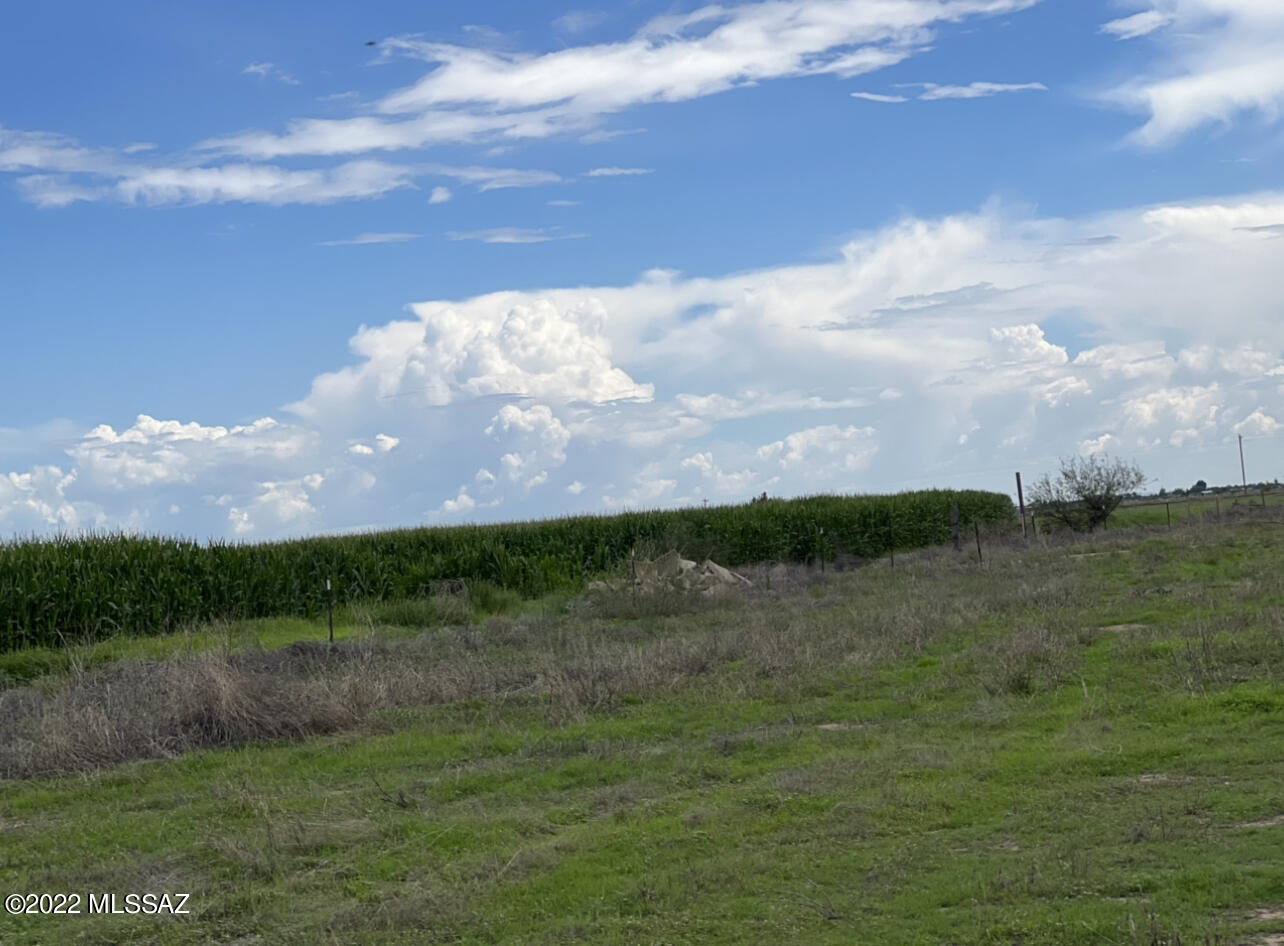 29.48-ac North Hamilton Road Willcox, AZ 85643 - Photo 6 of 11