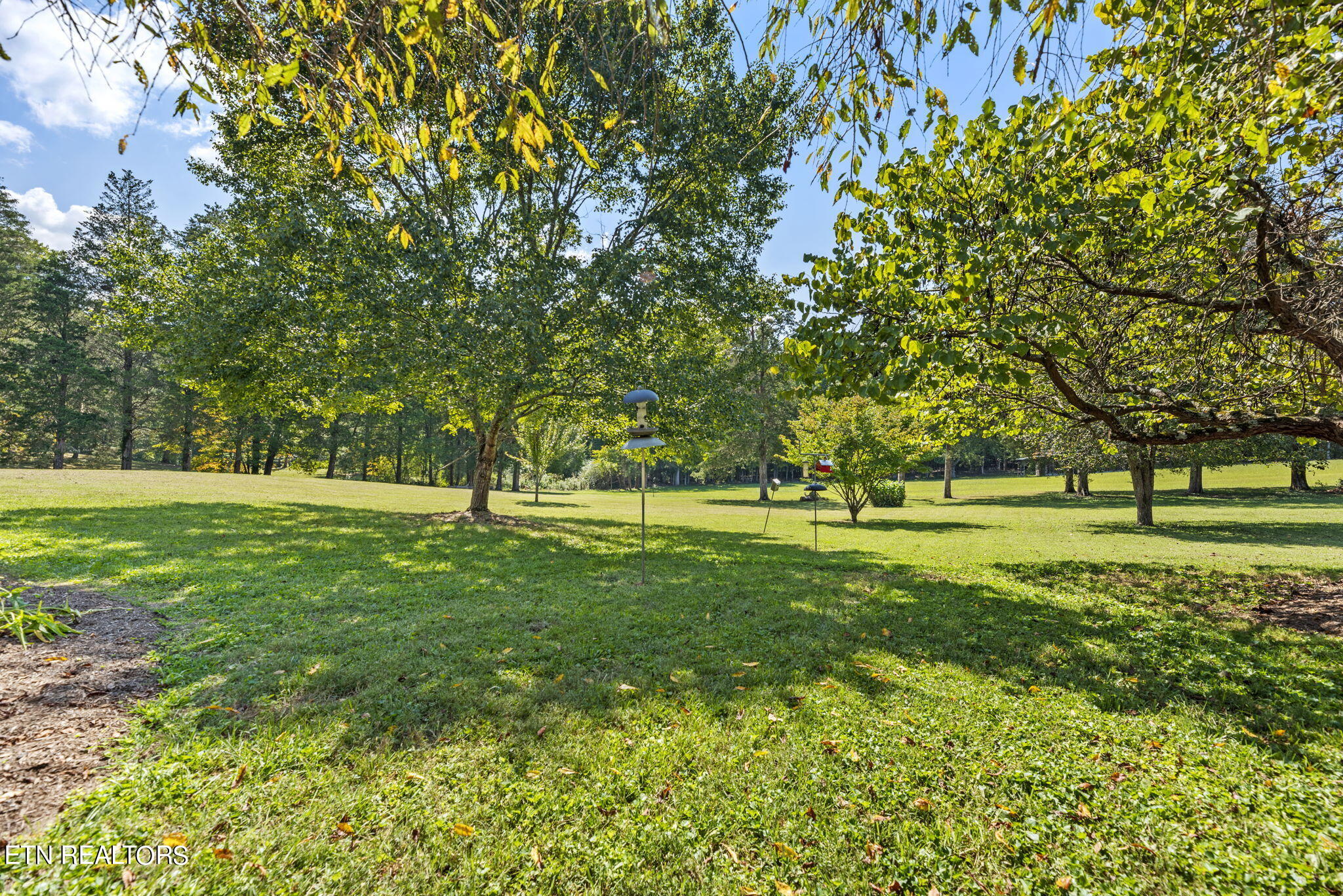 109 Dairy Pond Road Norris, TN 37828 - Photo 41 of 43 41-web-or-mls-DryPnd109 (15)