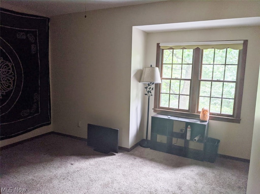 8169 Ravenna Road Painesville, OH 44077 - Photo 24 of 34 Gallery Image 24