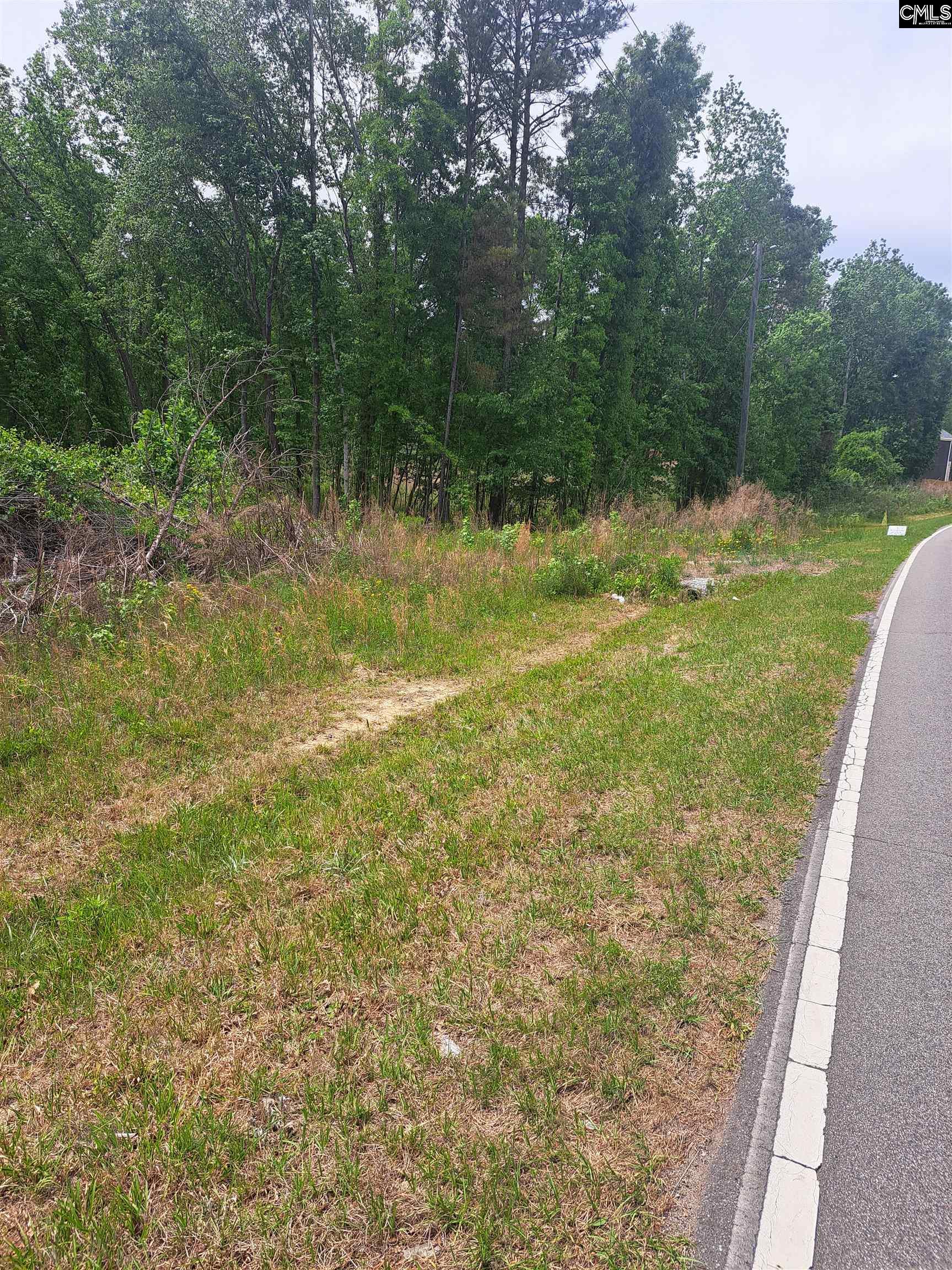 460 Grover Wilson Road Blythewood, SC 29016 - Photo 16 of 19