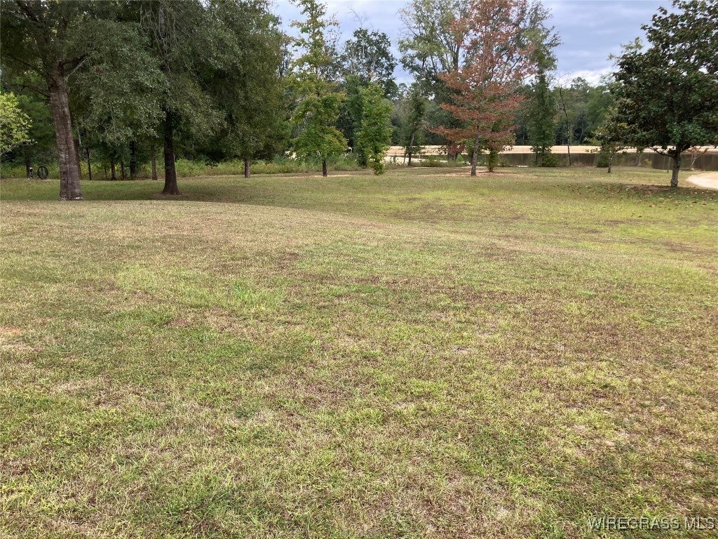 6417 L&b Ranch Road Florala, AL 36442 - Photo 22 of 35 Gallery Image 22