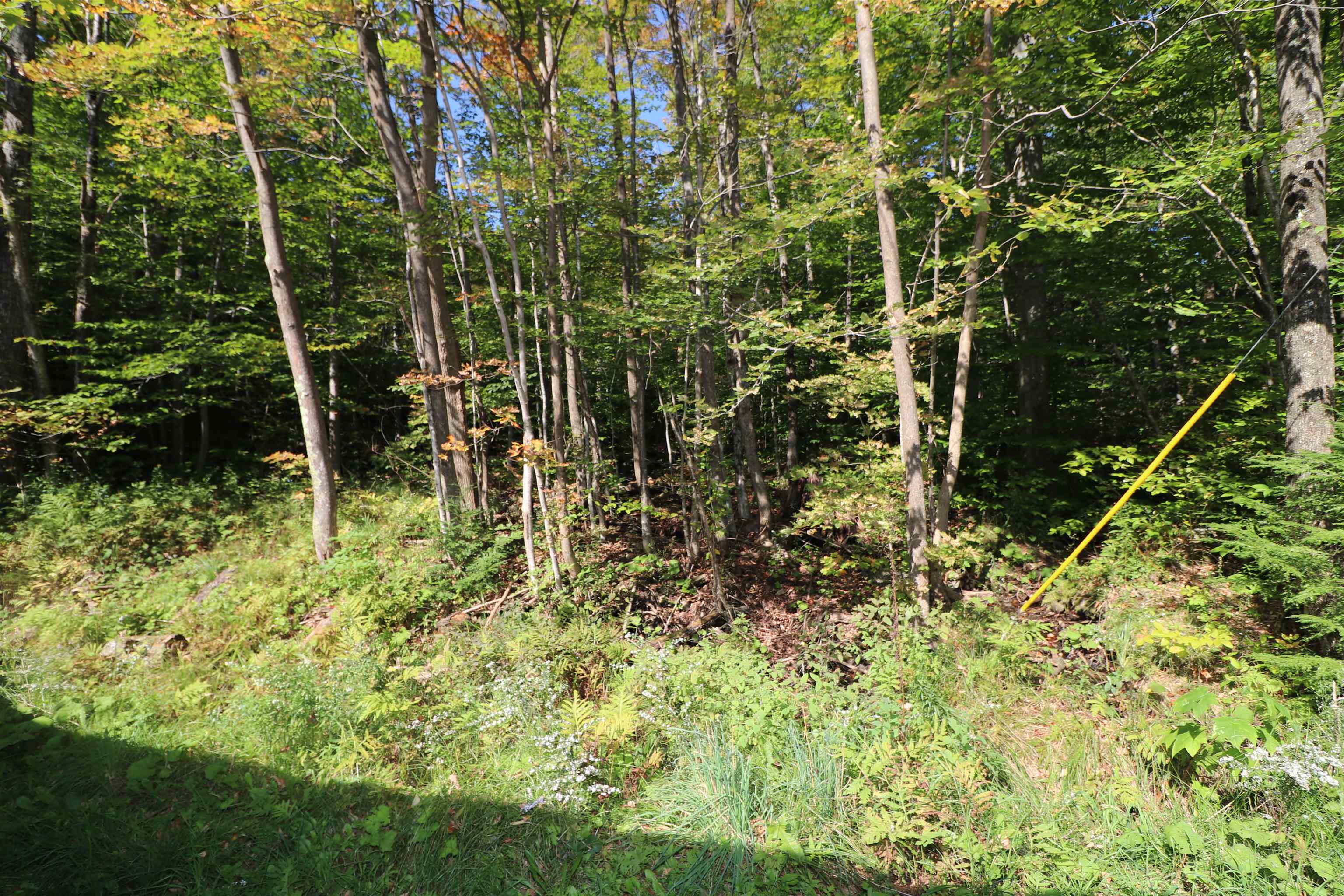 4354 Mill Brook Road Fayston, VT 05673 - Photo 19 of 29 Gallery Image 19
