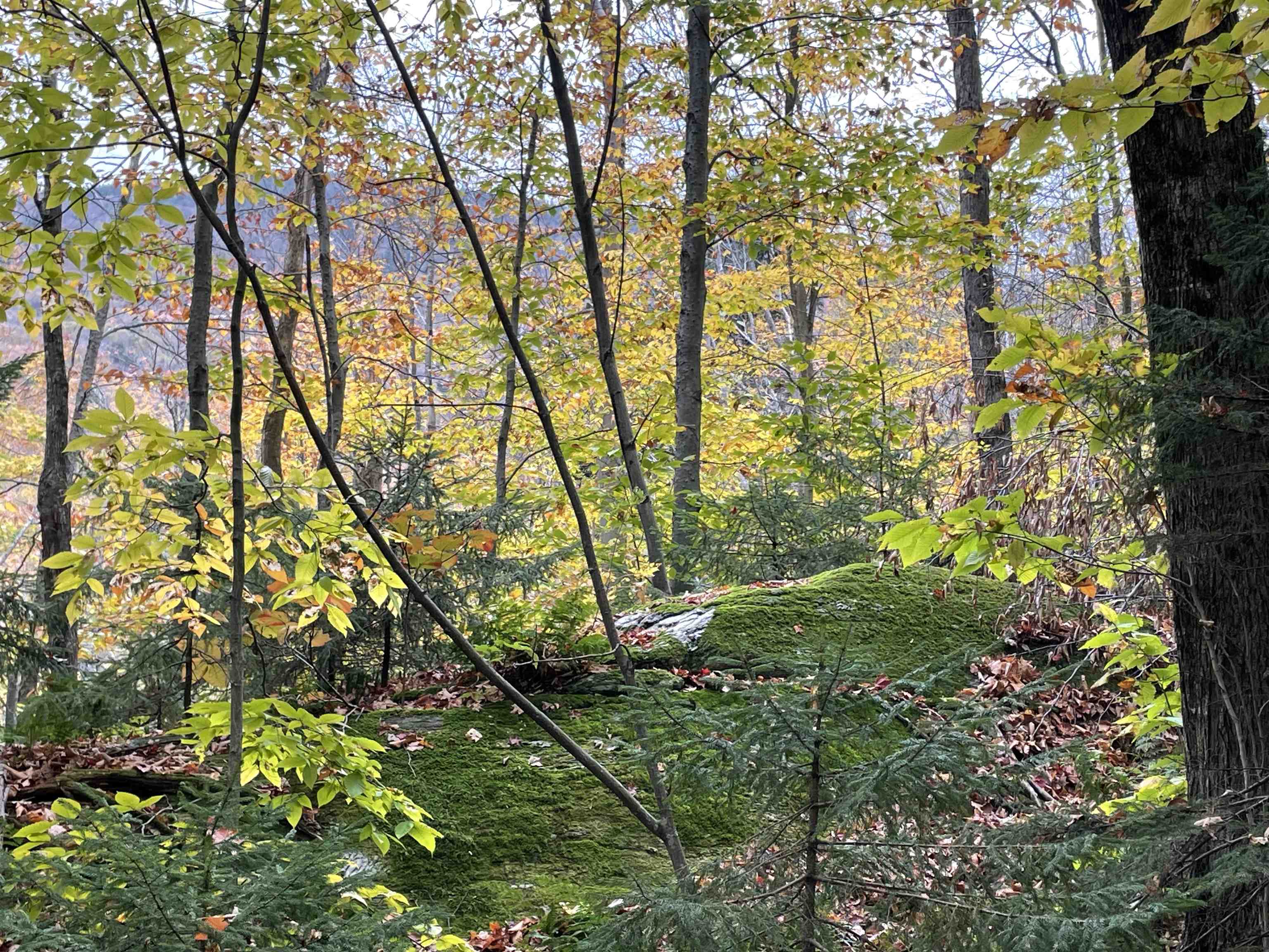 4354 Mill Brook Road Fayston, VT 05673 - Photo 22 of 29 Gallery Image 22