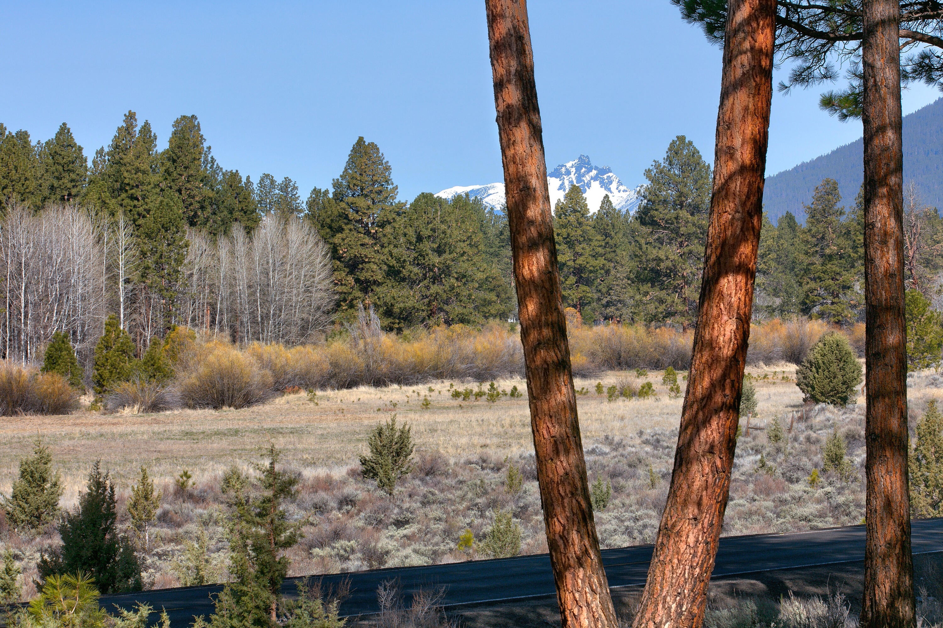 69825 Pine Ridge Road Sisters, OR 97759 - Photo 6 of 43 69825 Pine Ridge Rd._007