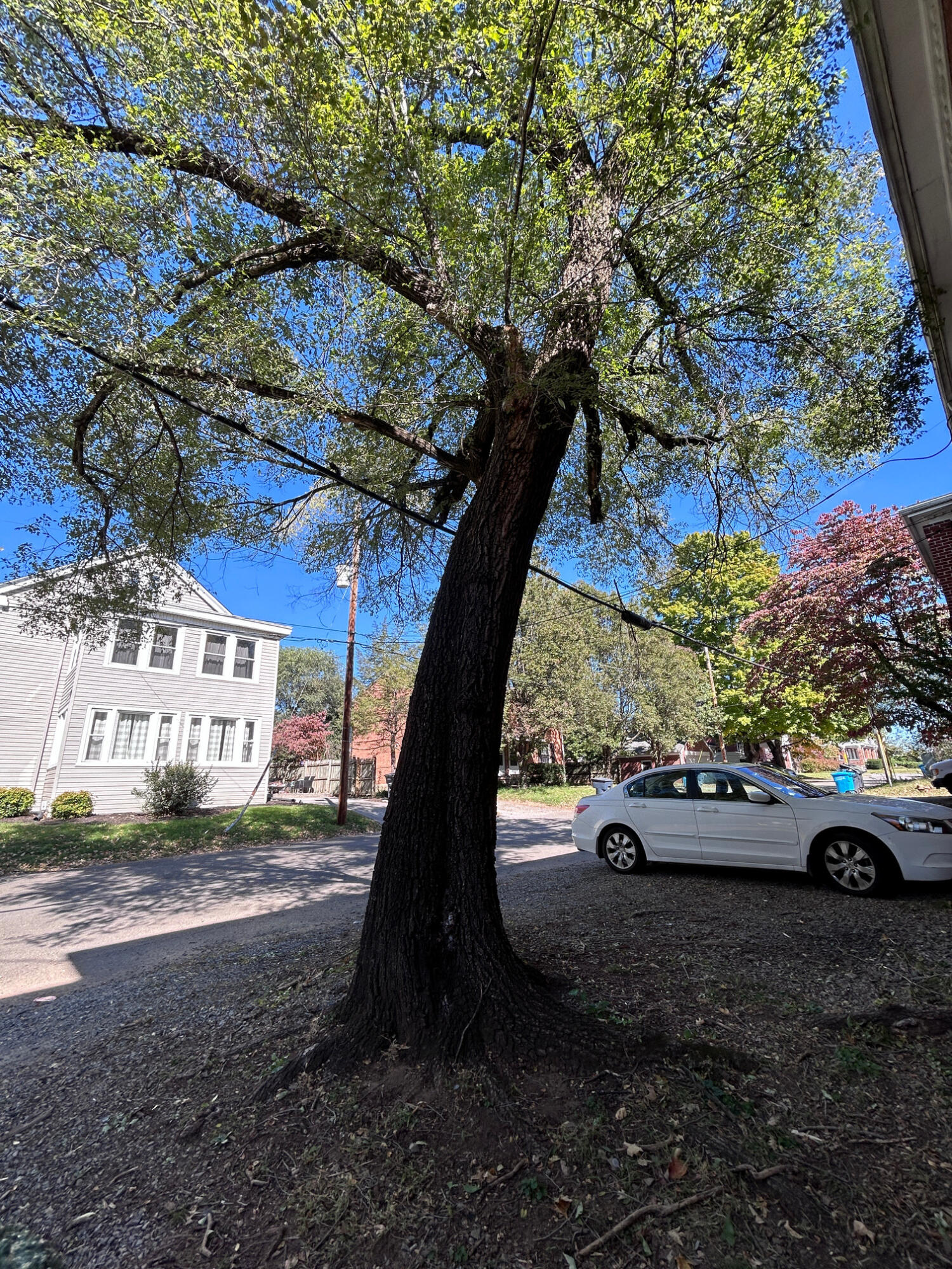 2037 Laburnum Avenue Southwest, Unit 2 Roanoke, VA 24015 - Photo 20 of 20 Off-Street Parking