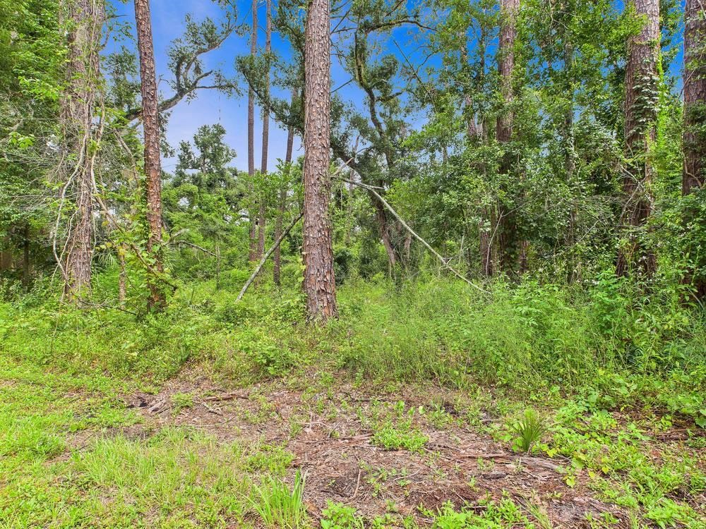 Tbd North Veterans Drive Perry, FL 32347 - Photo 1 of 3