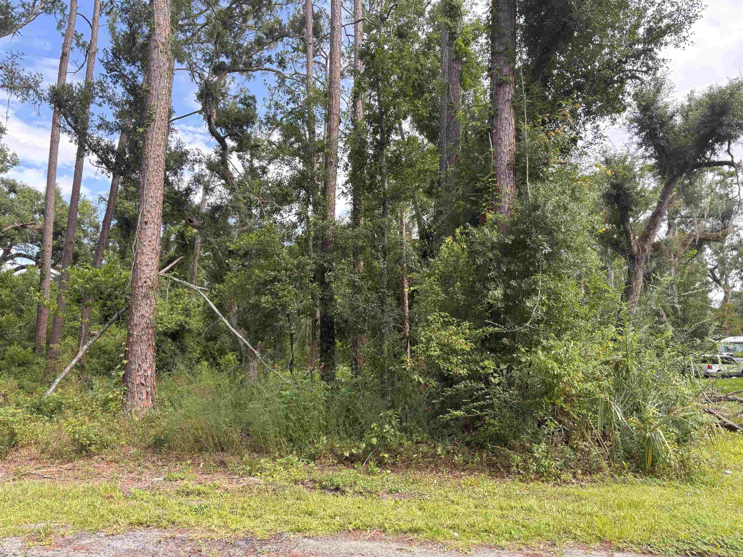 Tbd North Veterans Drive Perry, FL 32347 - Photo 2 of 3