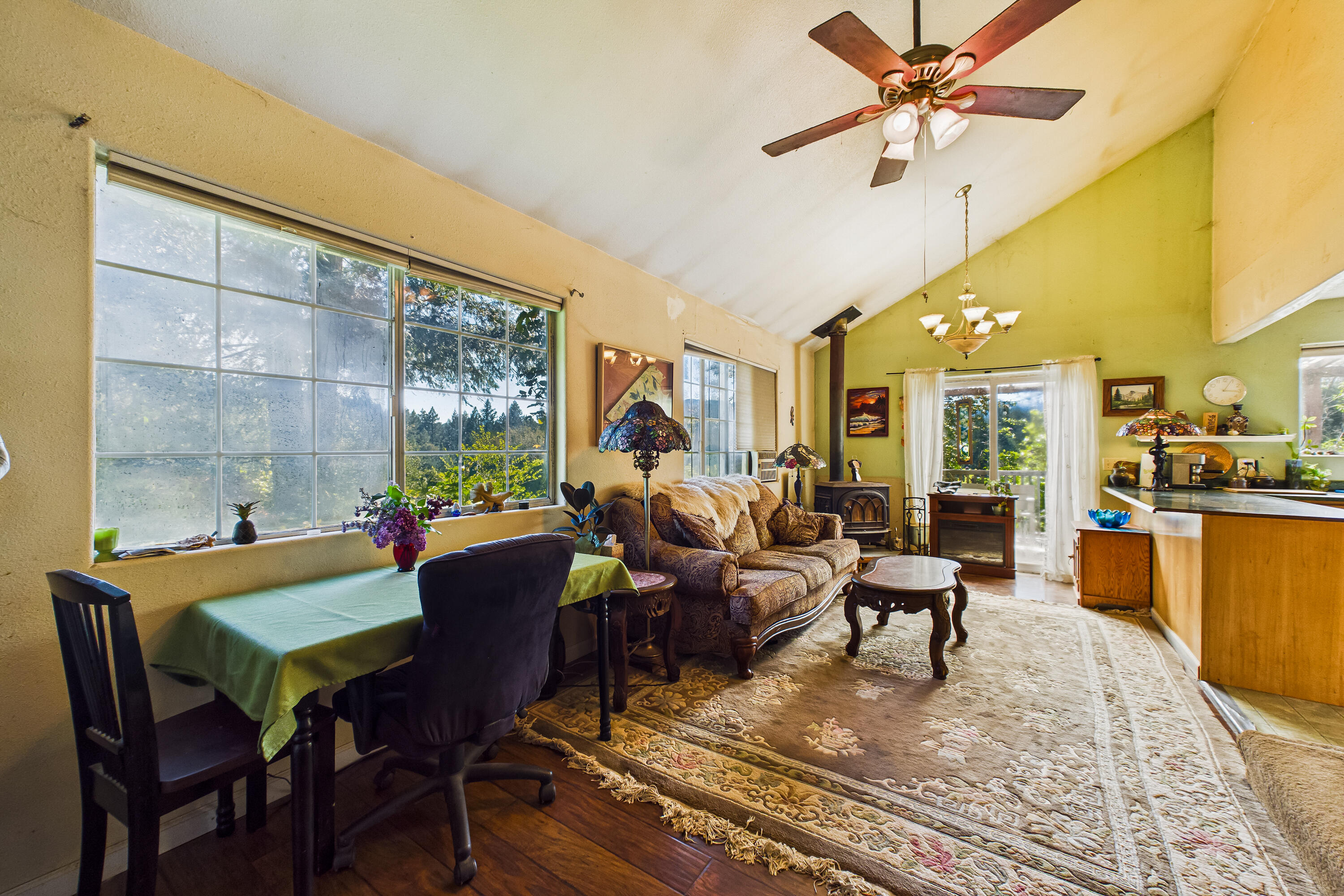 12600 Briceland Road Whitethorn, CA 95589 - Photo 20 of 111