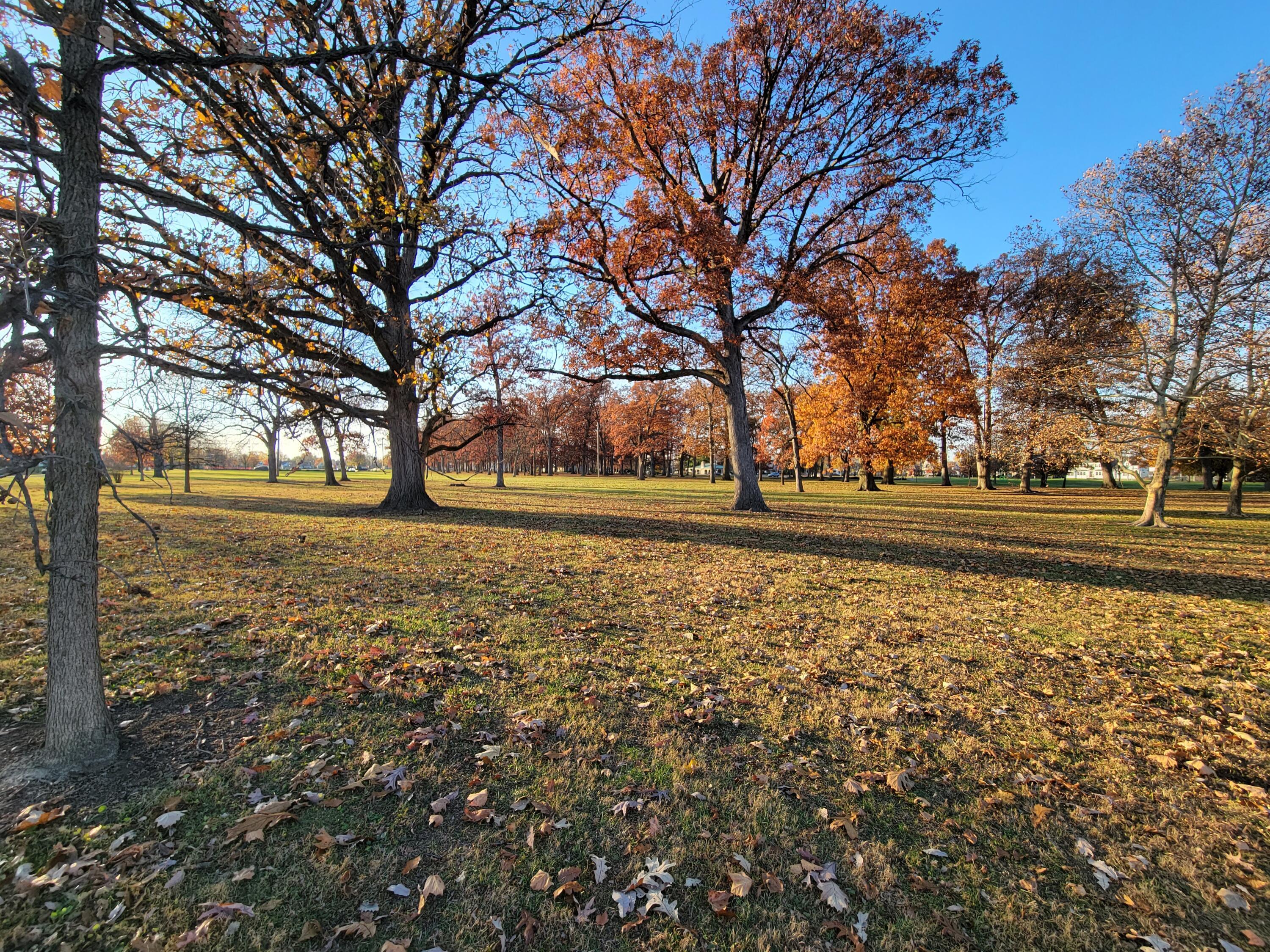 3117 Parkside Road Columbus, OH 43204 - Photo 20 of 43 Westagte Park is right across the street!