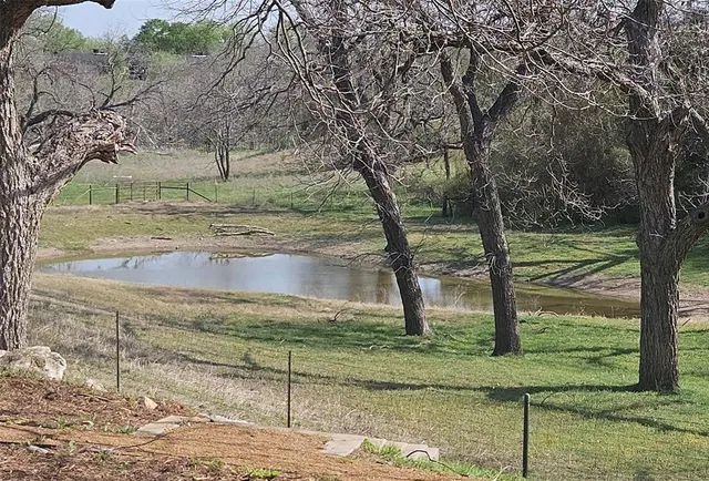 a view of a yard with large tree